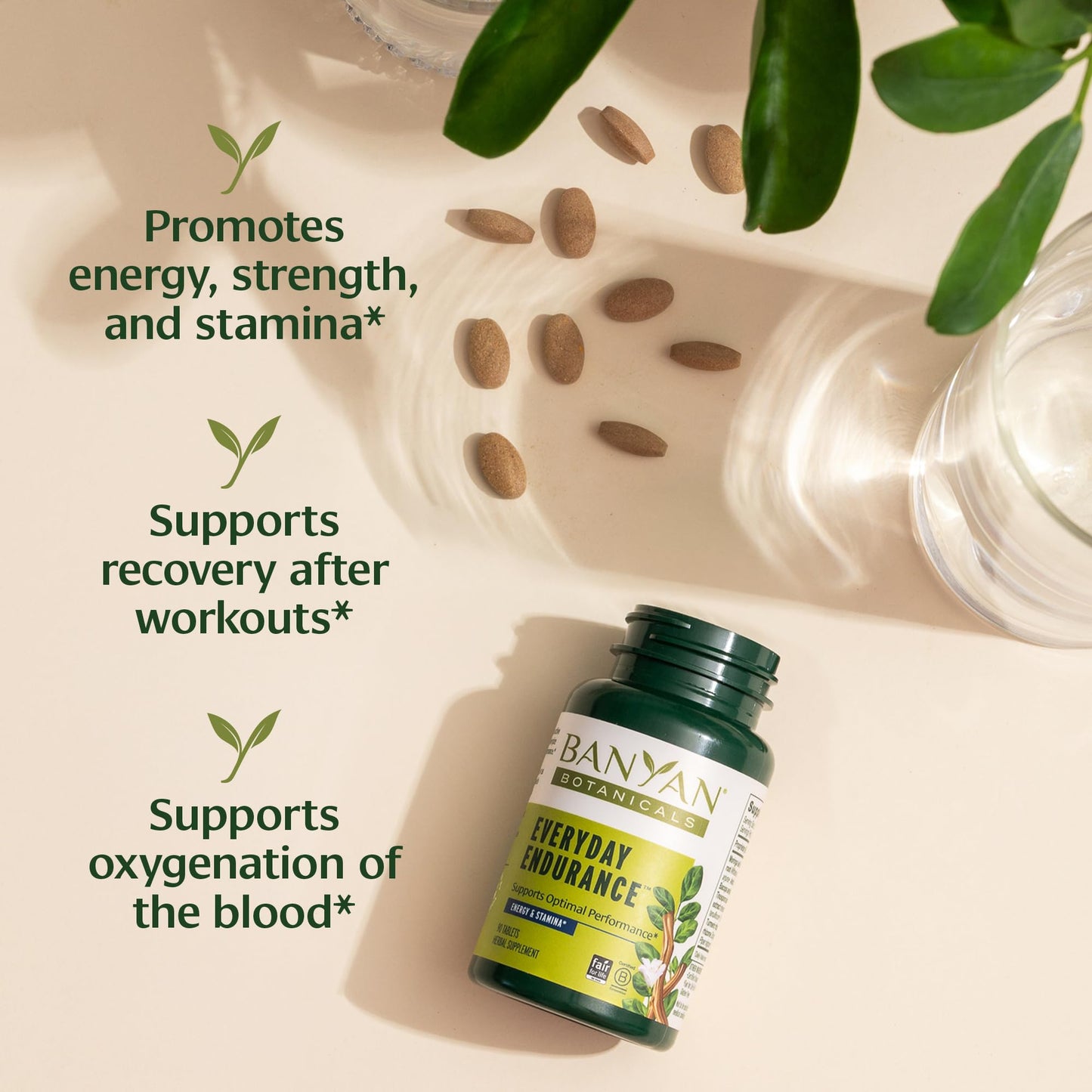 Banyan Botanicals Organic Everyday Endurance – Systemic Stamina & Vitality Supplement – Ashwagandha & Herbal Superfoods for Physical Energy & Resilience, 90 Tablets