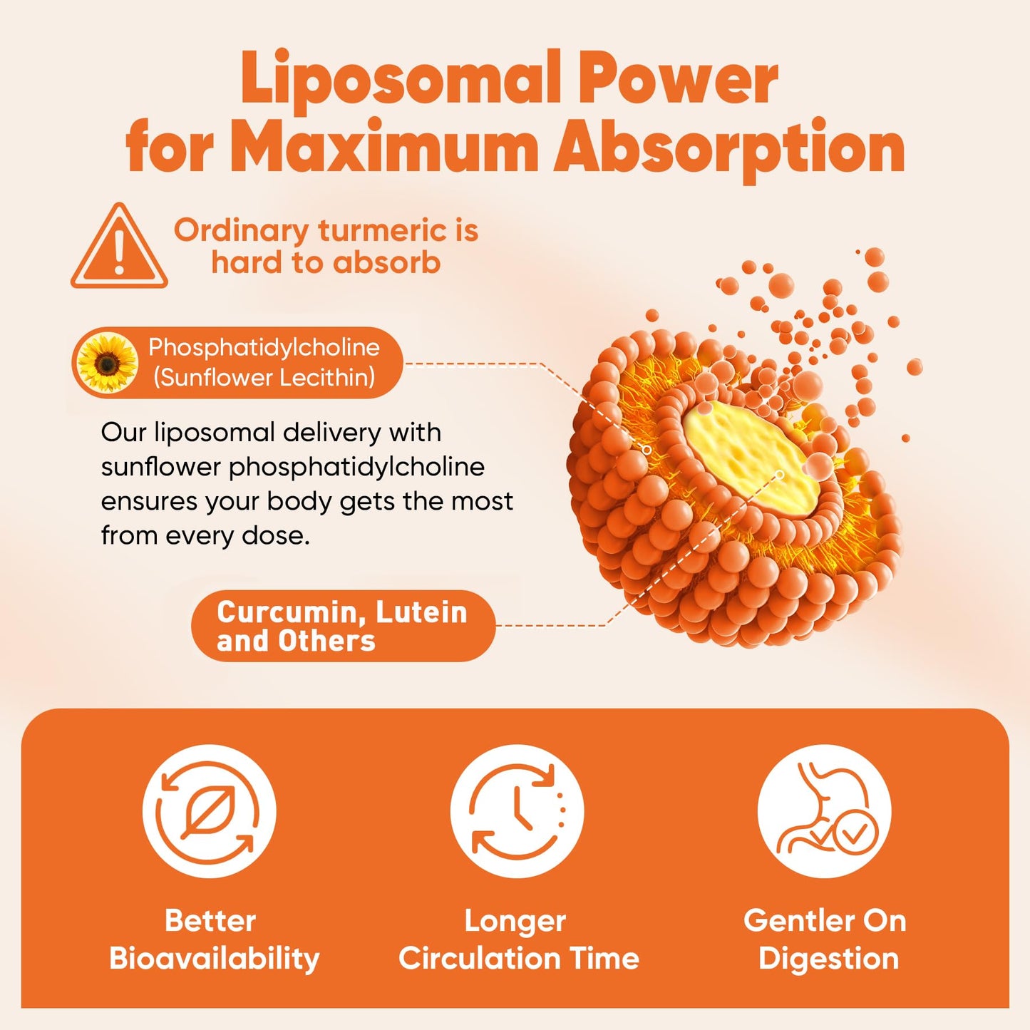 Nextdia Liposomal Turmeric Ginger Curcumin Complex Softgels, 240 ct