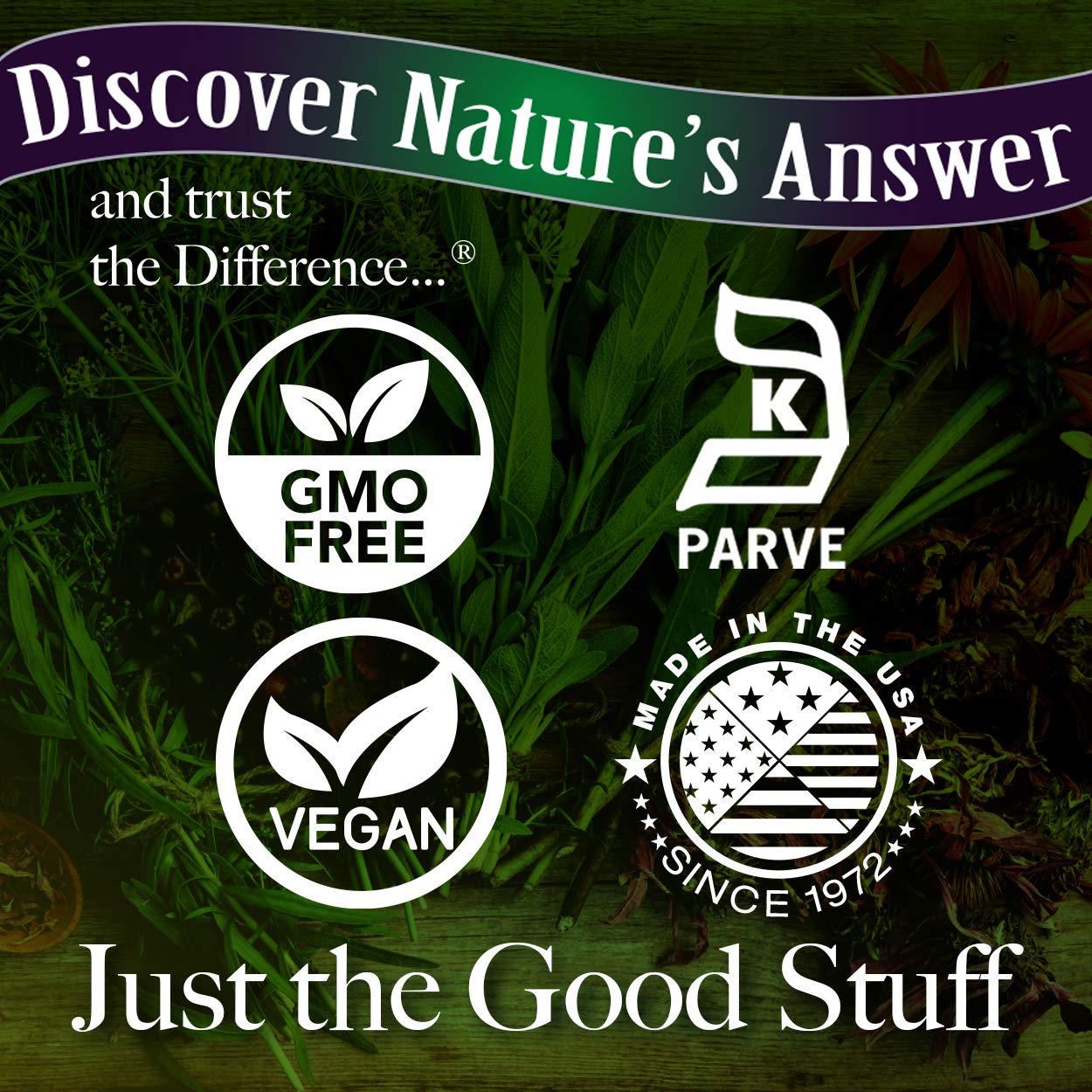 Nature's Answer Echinacea & Astragalus Powder 90 Count