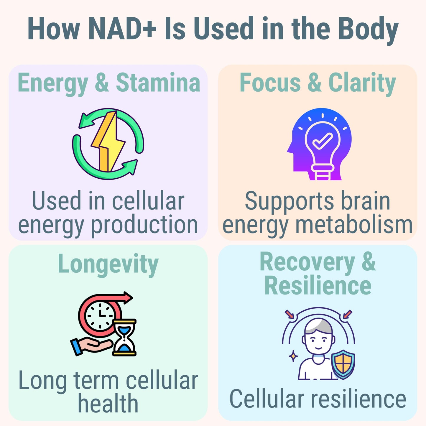 SHIZAM NMN NMNH NAD+ Gummies – NAD Supplement with Reduced Nicotinamide Mononucleotide, TMG (Trimethylglycine, Betaine) & Trans-Resveratrol, Methylated B-Complex, 60 Gummies