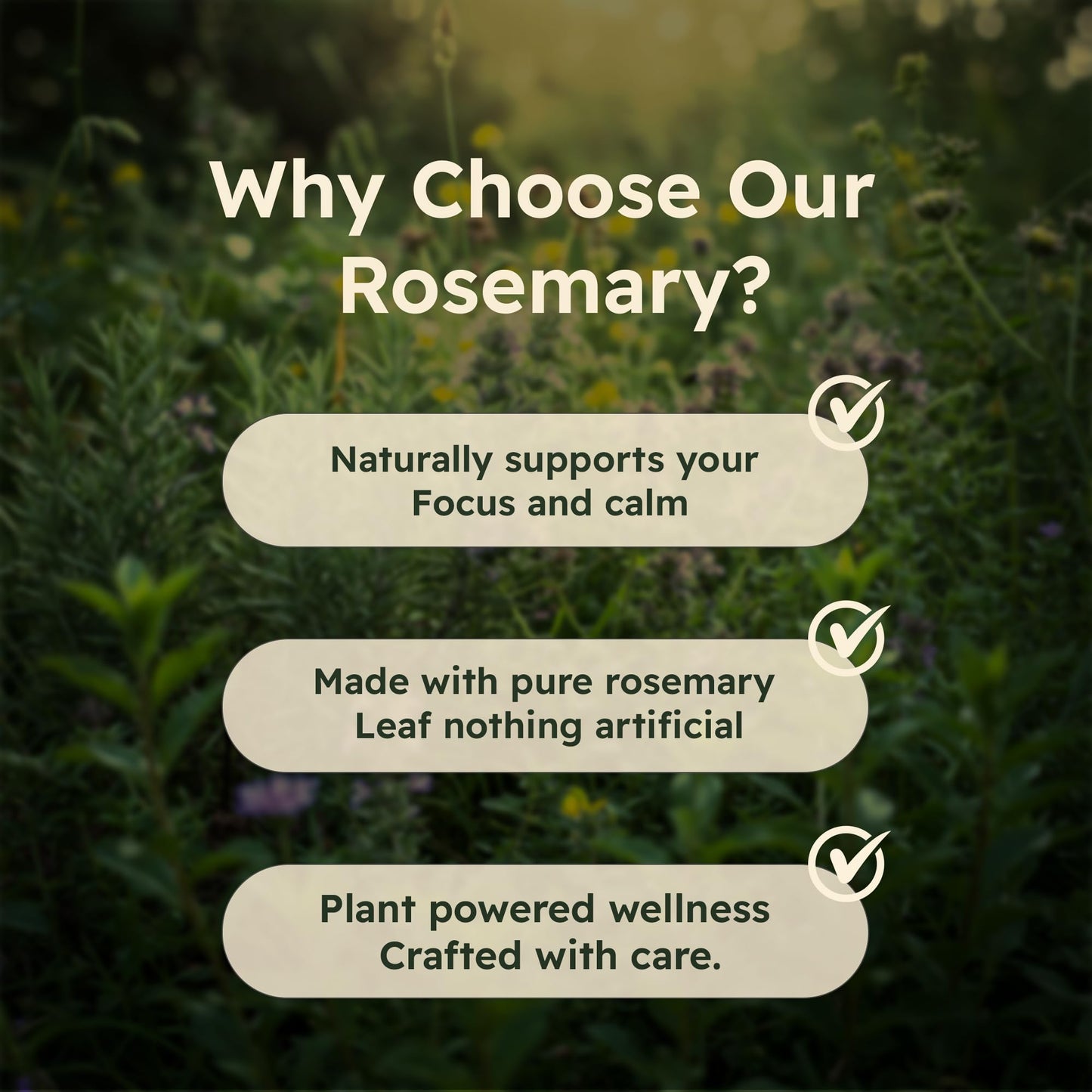 Just Plant Organic Rosemary Leaf Capsules 500mg, 90 Count