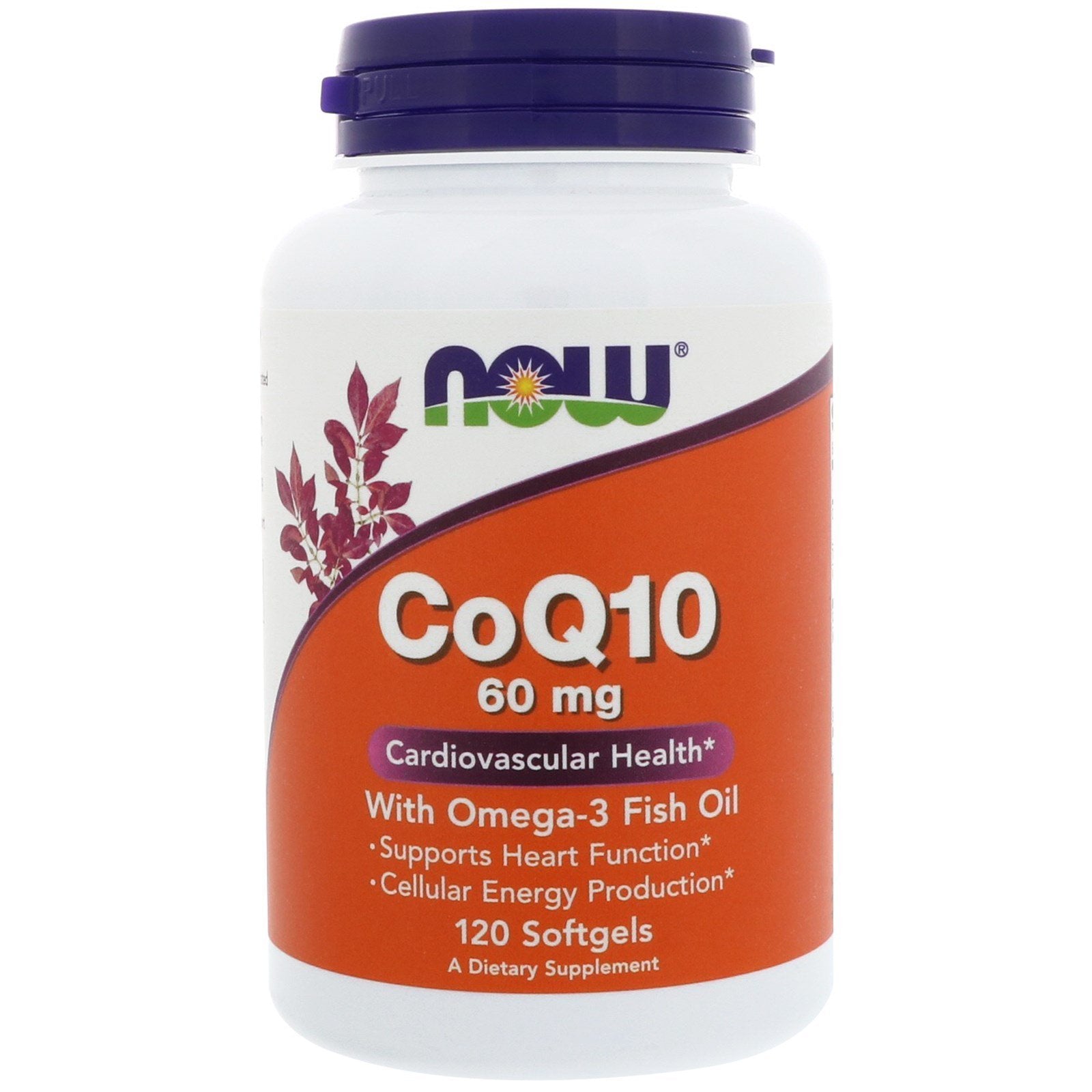 NOW Foods CoQ10 w/Omega 3 Fish Oils Softgels 480