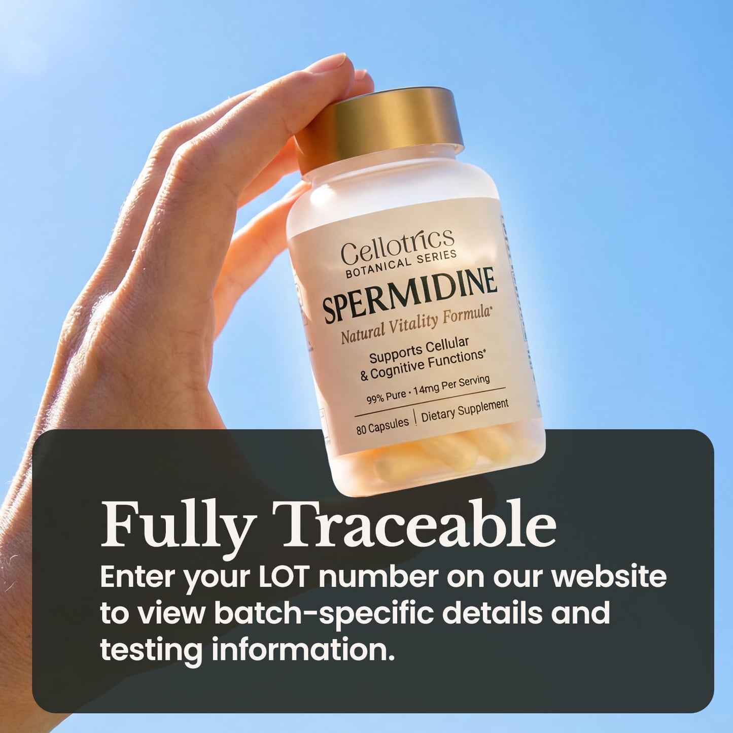 CELLOTRICS Spermidine Supplements 1260mg Capsule, 90 Count