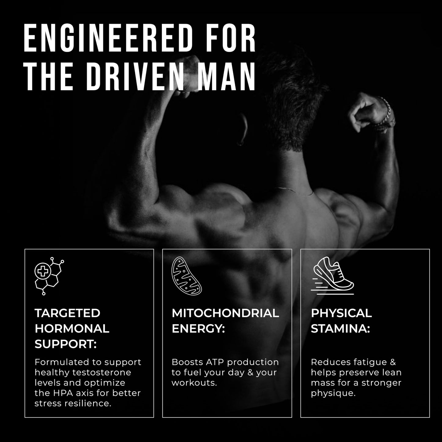 ERODUS Formula for Men Advanced Testosterone Support Powder 5.06 Ounce