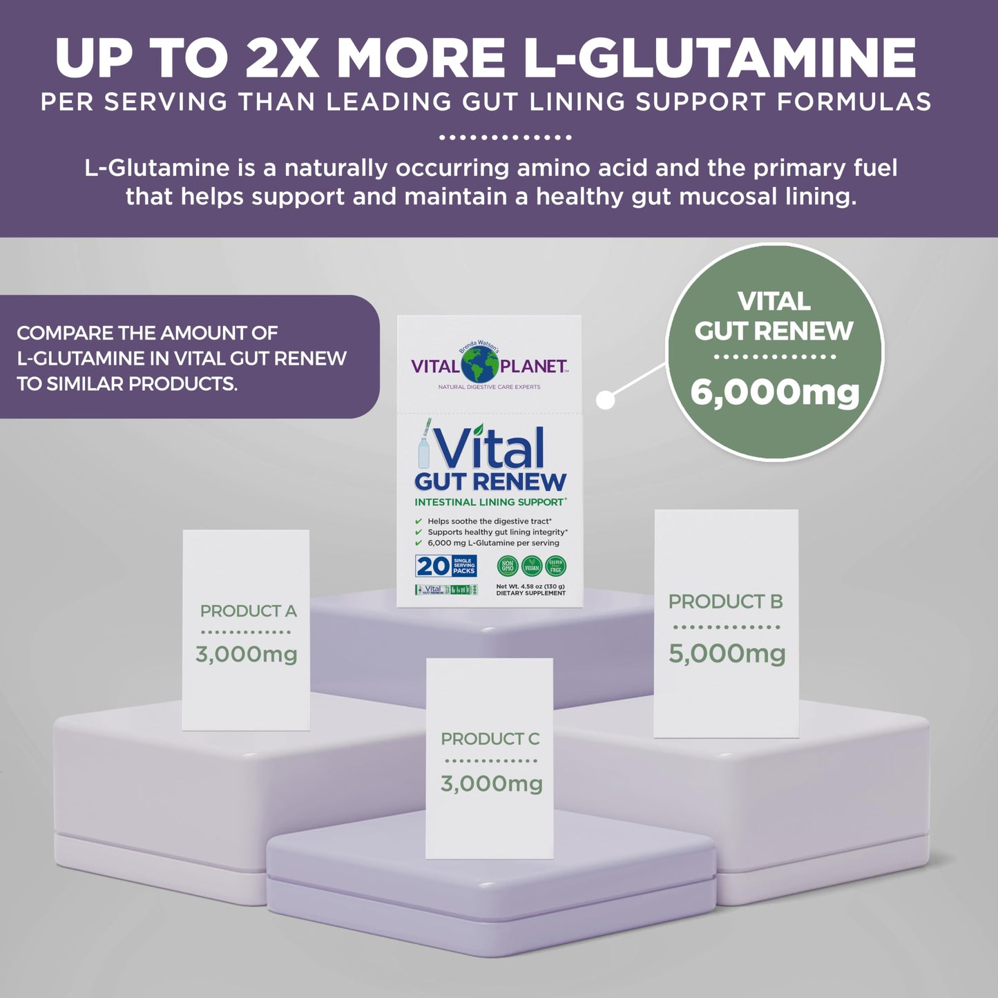 Vital Planet Vital Gut Renew Powder Supplement for Leaky Gut Repair with L-Glutamine, Marshmallow and Ginger Root, DGL Licorice Root and Organic Aloe Vera, 6000mg, 4.5 oz
