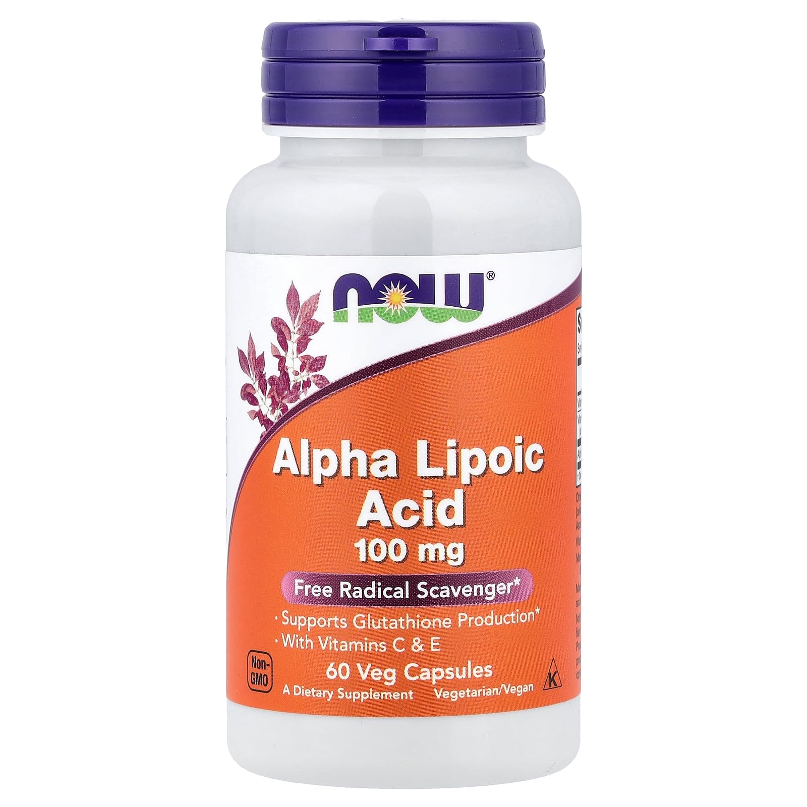NOW Foods Alpha Lipoic Acid 100mg with E & C Capsules, 60 Count