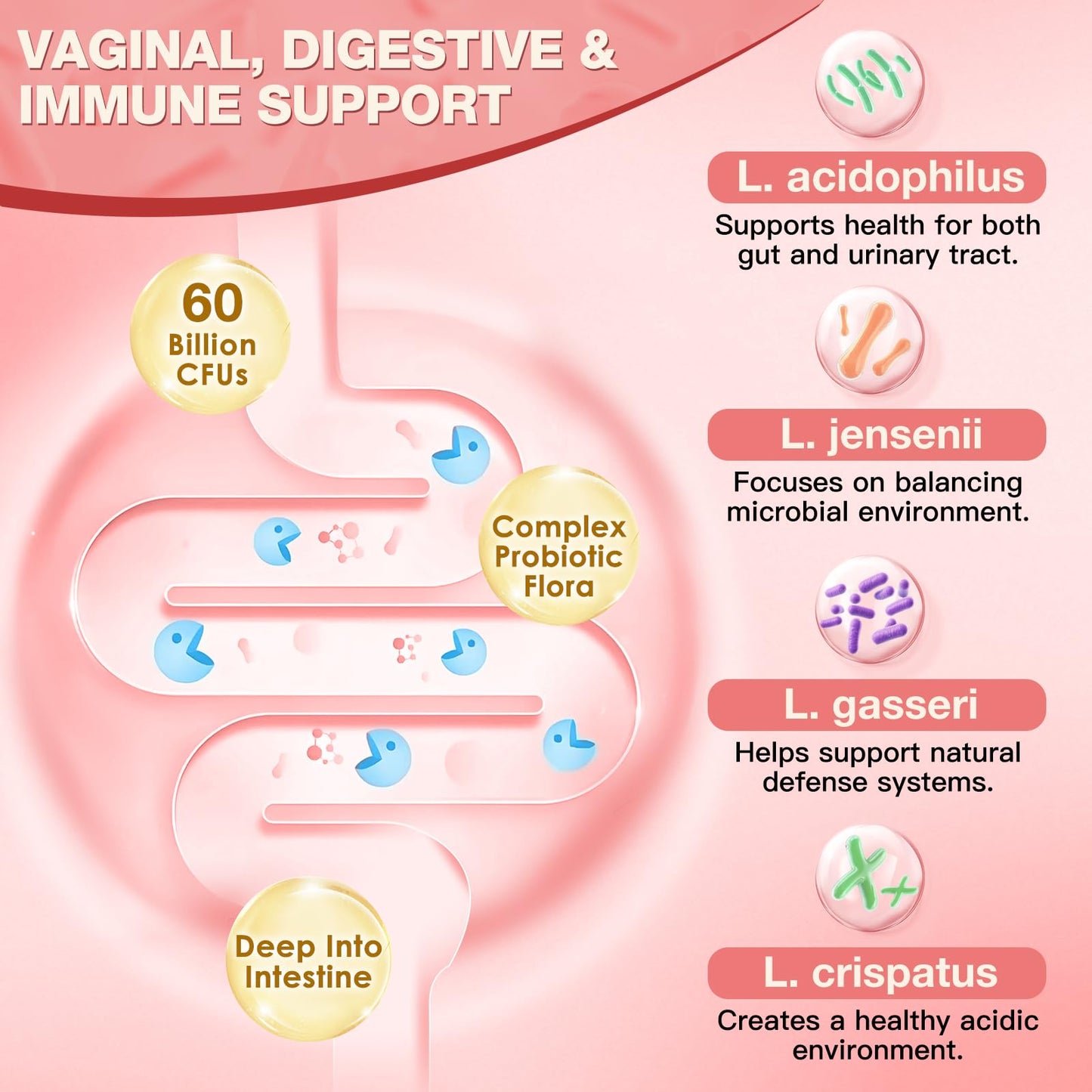 NATURE TARGET Vaginal Probiotics for Women pH Balance Capsules, 90