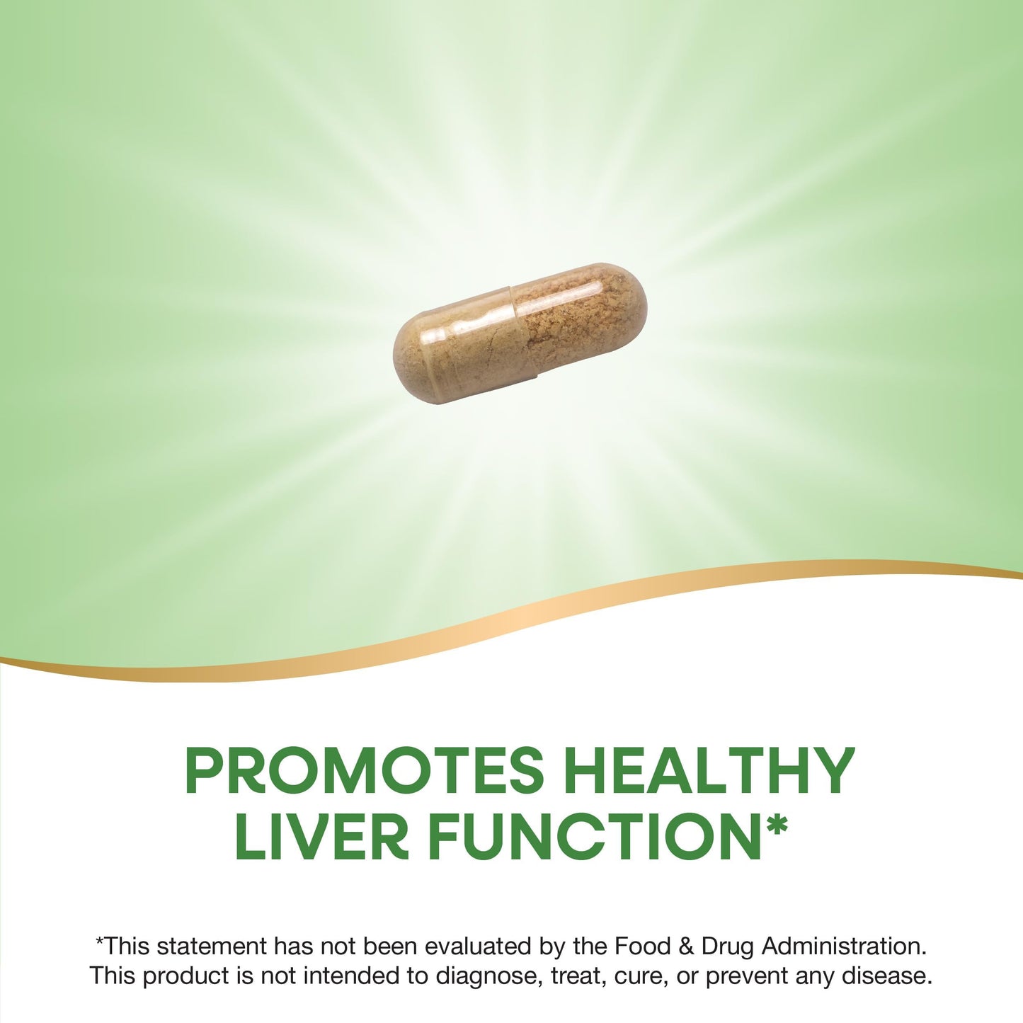 Nature's Way Super Milk Thistle Capsules 240