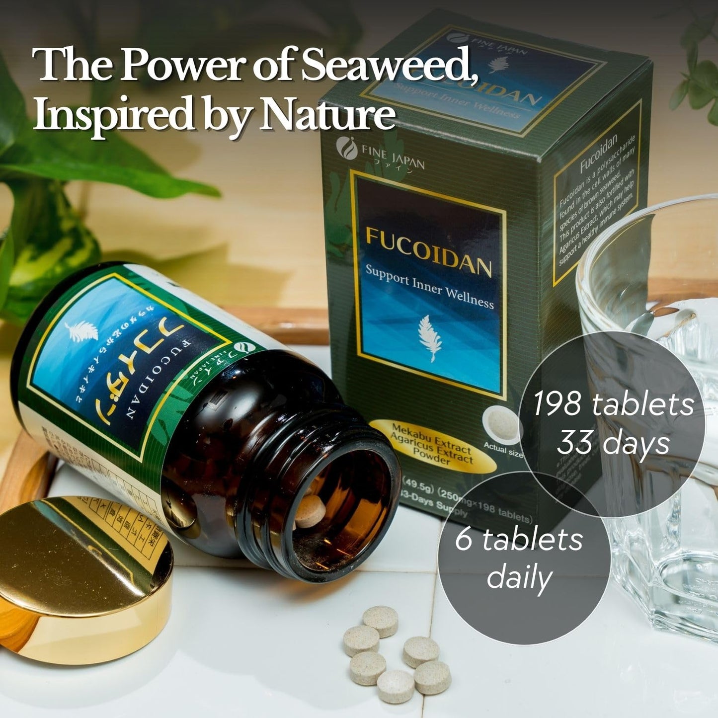 FINE JAPAN Fucoidan with Wakame Seaweed Extract & Agaricus Extract - Vegetarian kelp Supplement, 198 Tablets