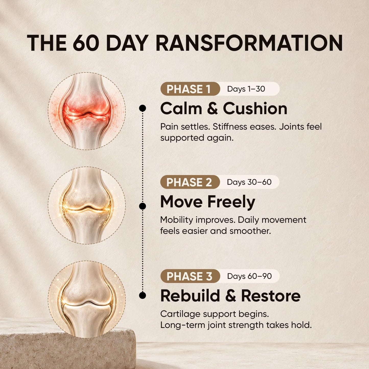 REGENSIL Triple Action Joint Support, 60 Capsules