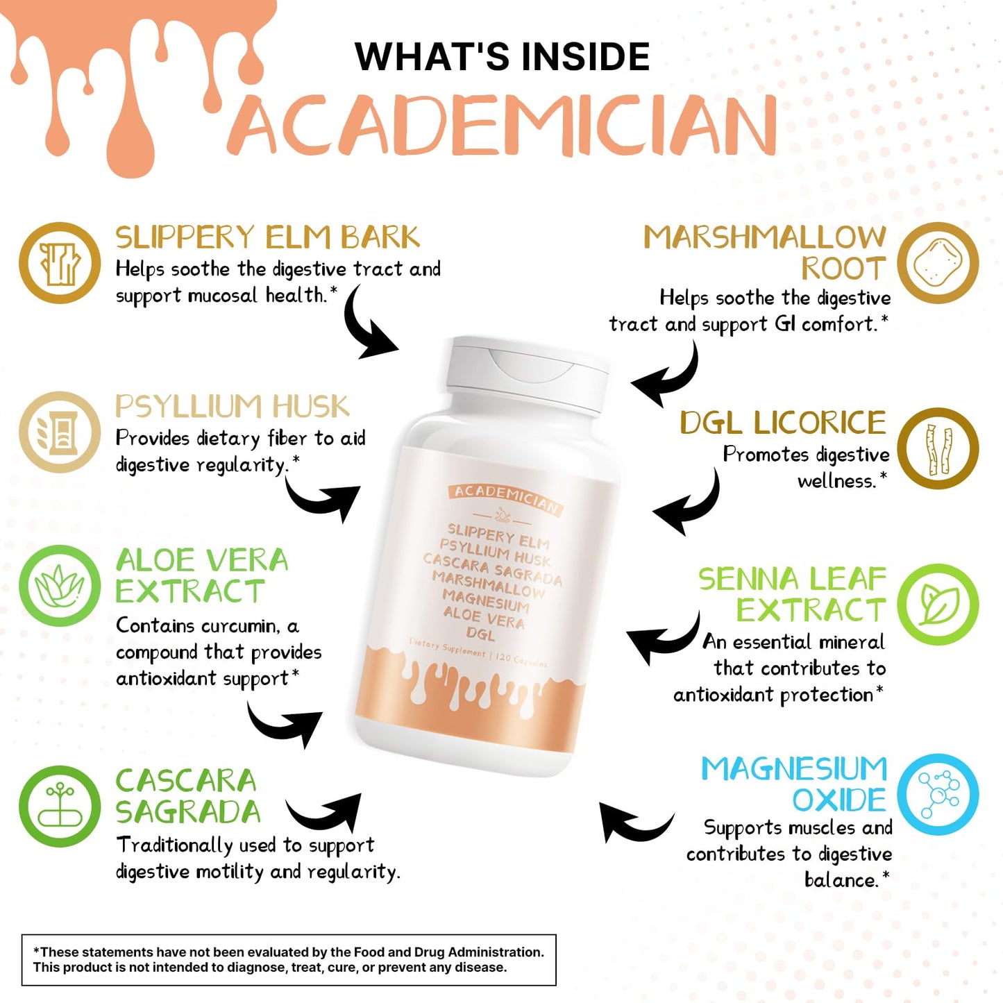 ACADEMICIAN Psyllium Husk Capsules, 120 Count
