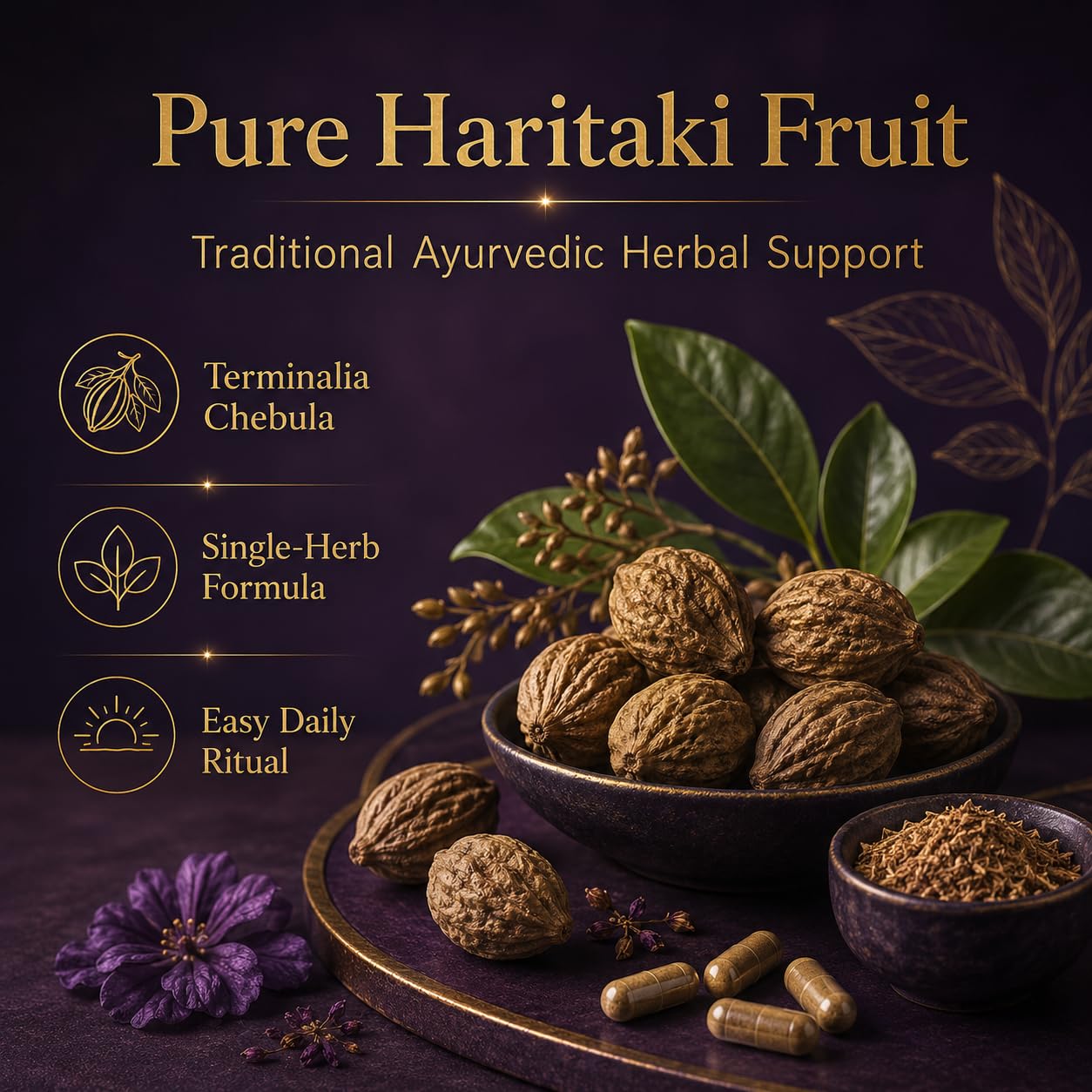Dvloge Haritaki Third Eye Capsules 120 Capsules