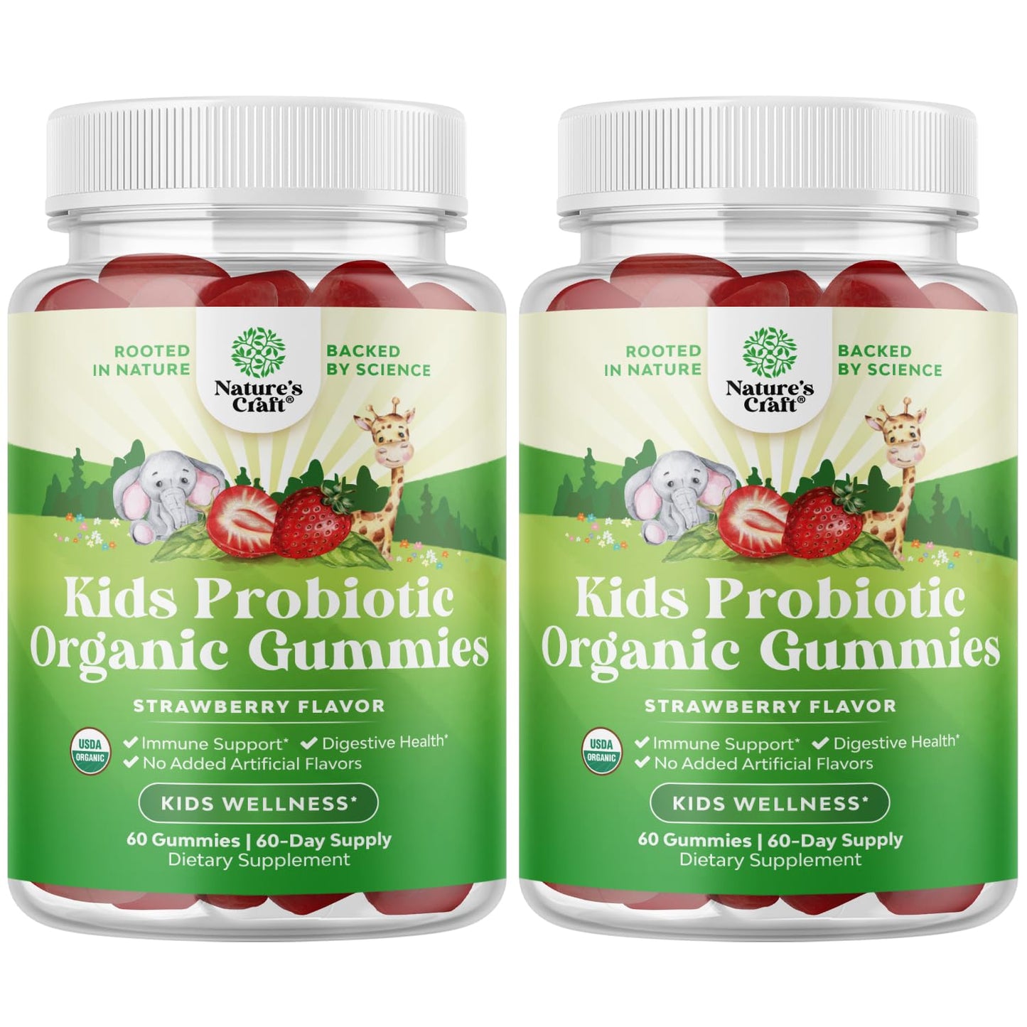 Natures Craft USDA Organic Probiotic Gummies for Kids - Strawberry Flavor, Vegan Non-GMO, Gentle 2.5B CFU Probiotics, 120 Count