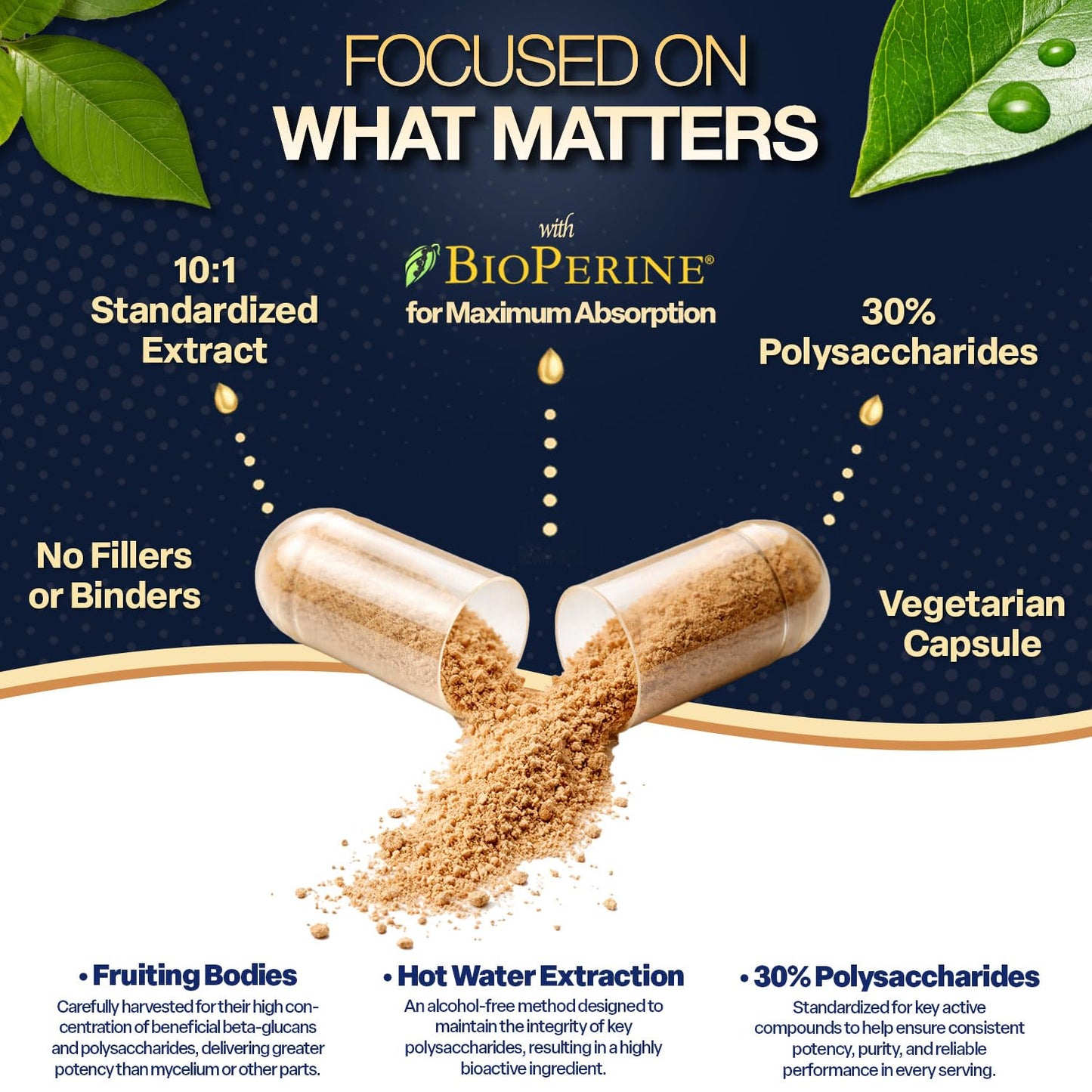 Natures Elements Lion’s Mane Mushroom with BioPerine 10:1 Extract, 1000mg Lion’s Mane + 10mg BioPerine, 30% Polysaccharides, 180 Capsules