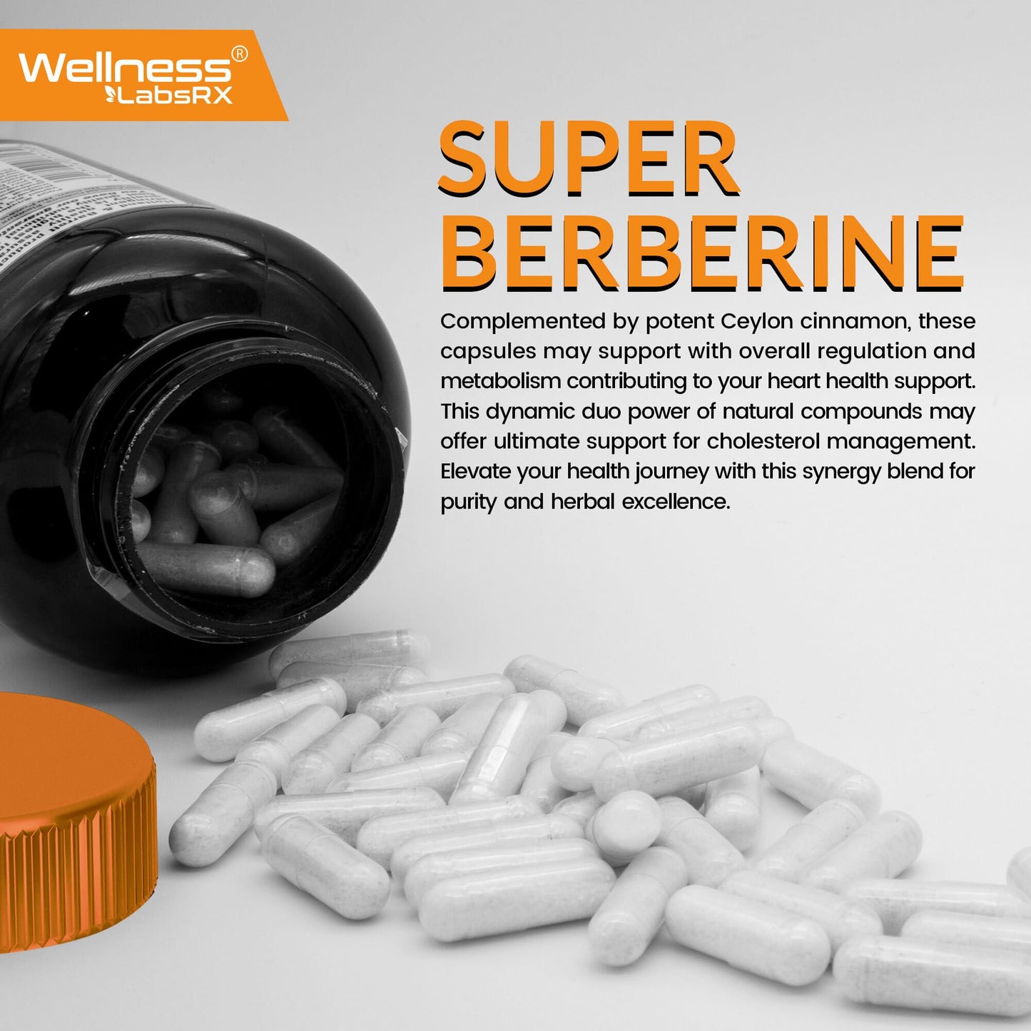 WELLNESS LABSRX Berberine 15,000mg Capsules, 240 Count