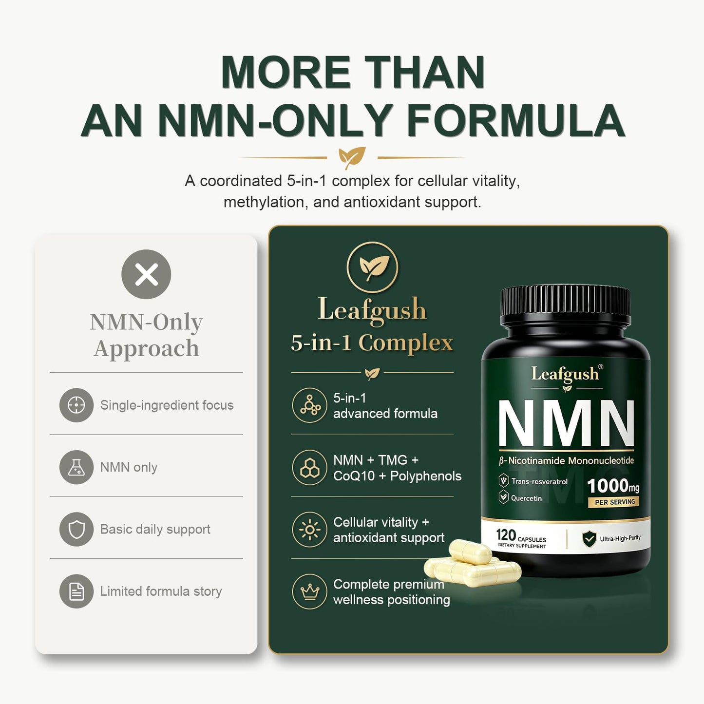 Leafgush NMN NAD+ Precursor Supplement, 1000mg 5-in-1 Complex (600mg NMN + TMG 200mg; Trans-Resveratrol, Quercetin, CoQ10), 120 Capsules