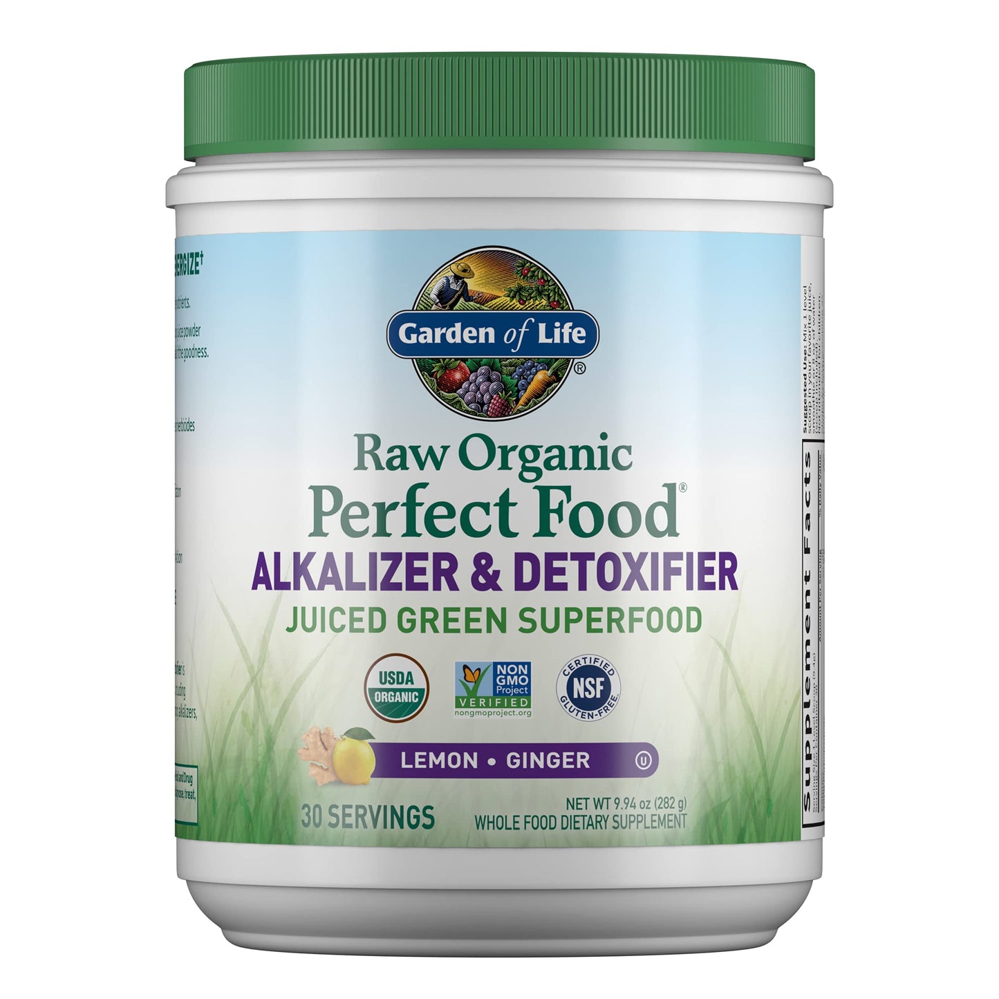 Garden of Life Raw Organic Perfect Food Alkalizer & Detoxifier Juiced Greens Superfood Powder & Vegan Protein Powder Vanilla - Powder 2-Pack