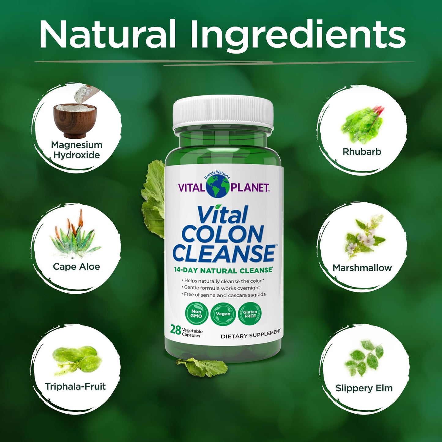 Vital Planet Vital Colon Cleanse Capsule 28 Count