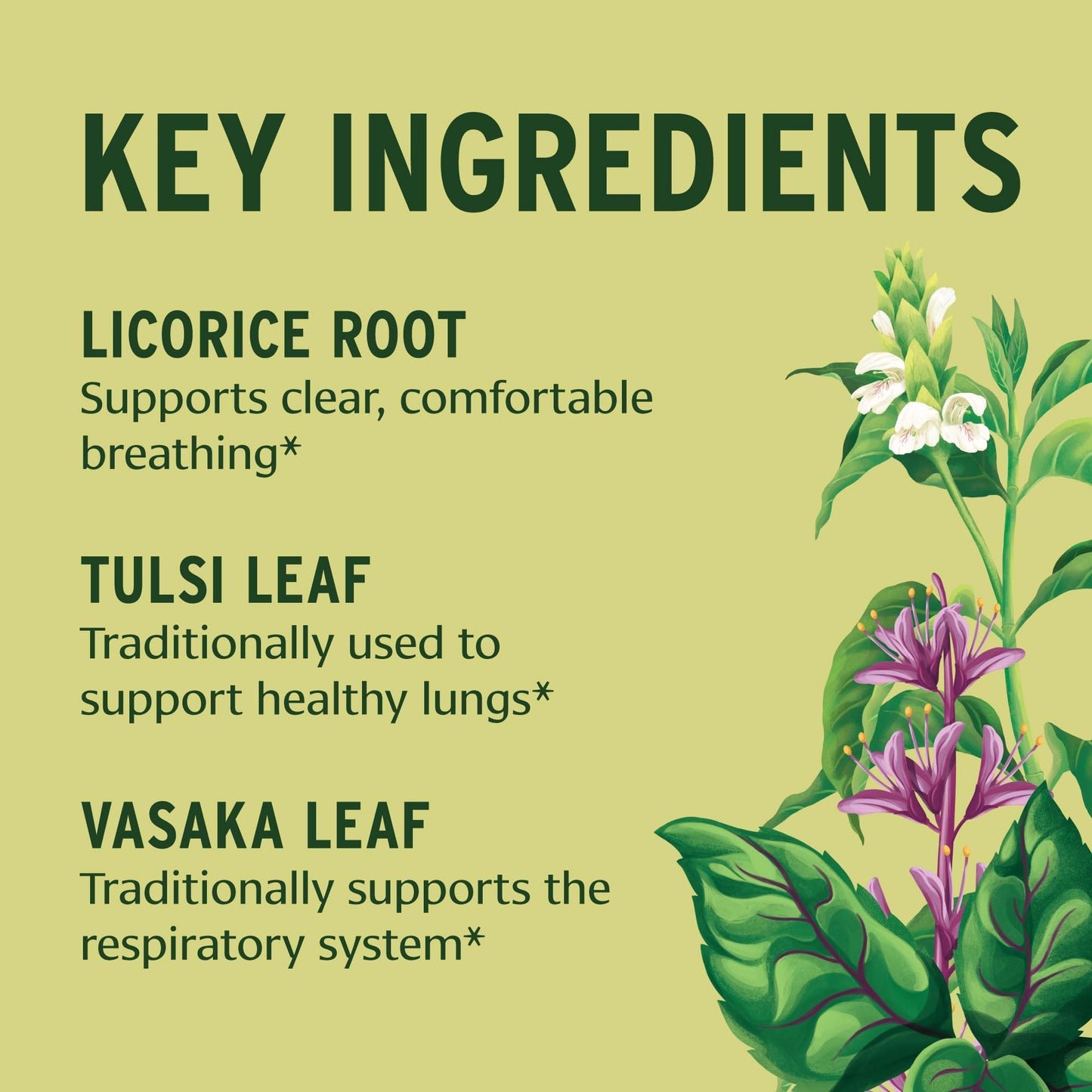 Banyan Botanicals Lung Formula, 90 Tablets