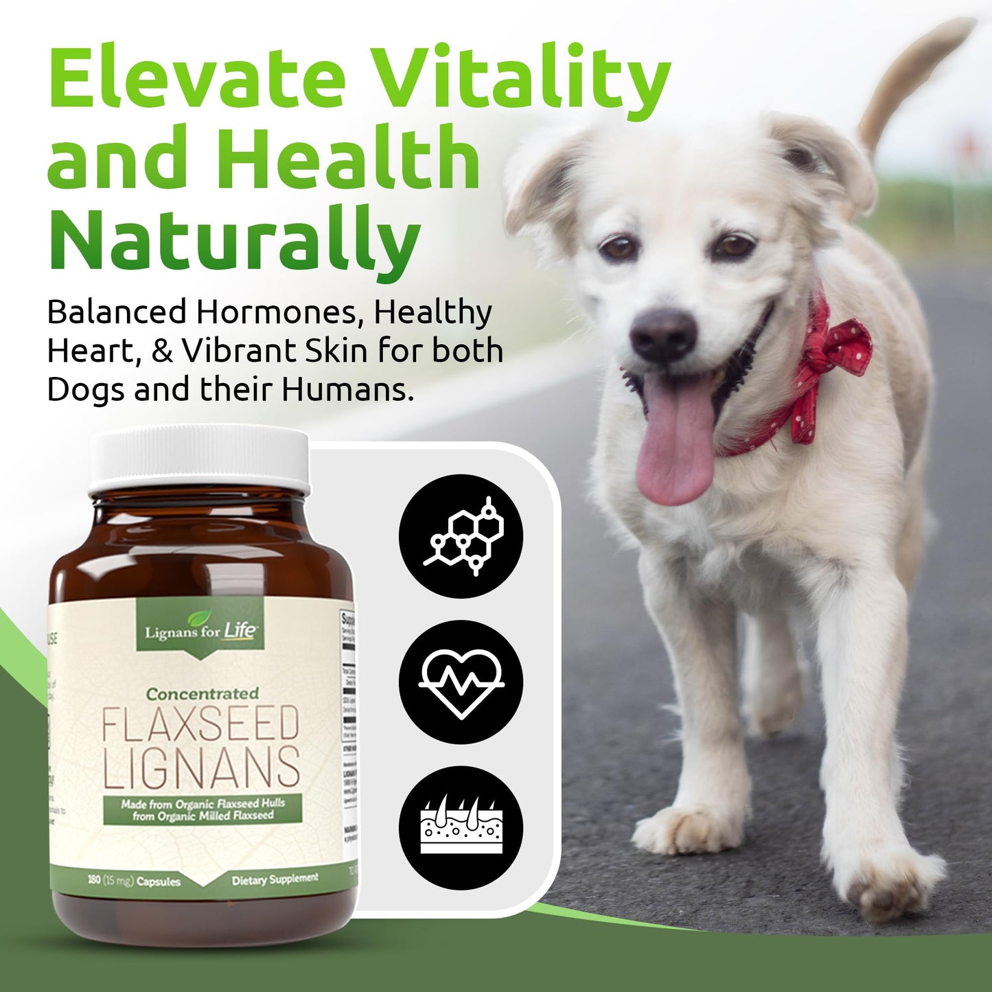 Lignans For Life Flaxseed Lignans for Dogs & People Capsules, 180 Capsules