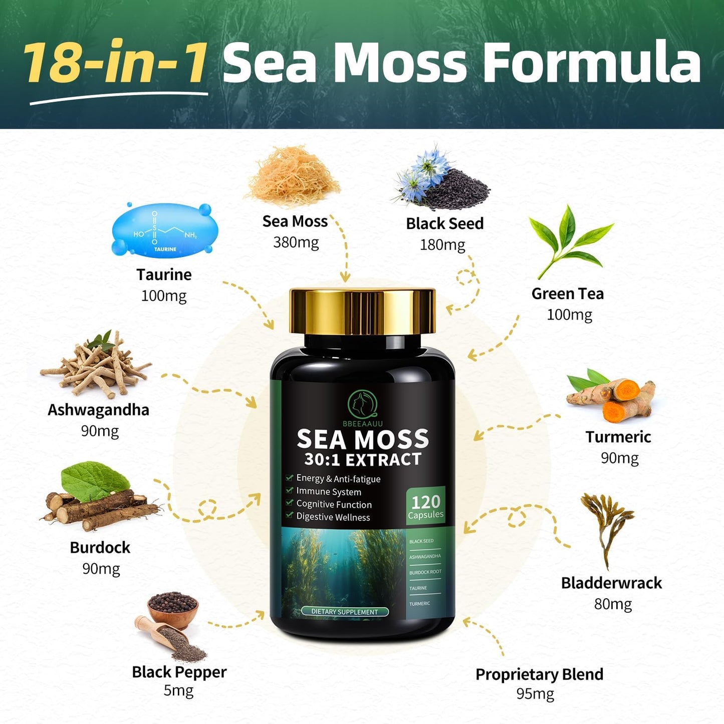 BBEEAAUU Shilajit for Men, Sea Moss and Shilajit Bundle All in 1 Supplements with Coenzyme Q10, Black Seed, Ashwagandha, Taurine, Burdock for Energy, Endurance, Antioxidant & Immune Support, 240 Capsules