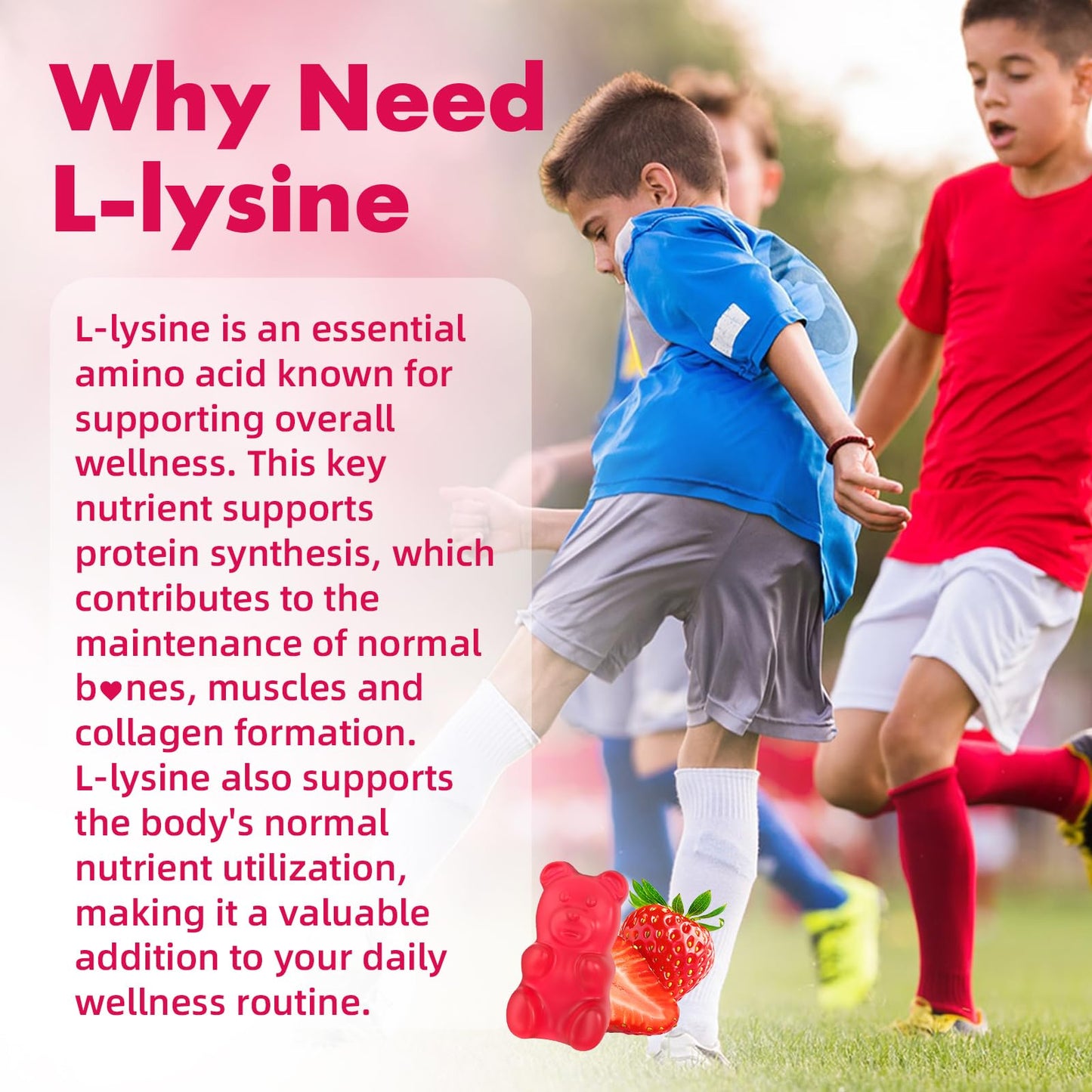 Mchokuu L-Lysine 1000mg Gummies, 60 Count