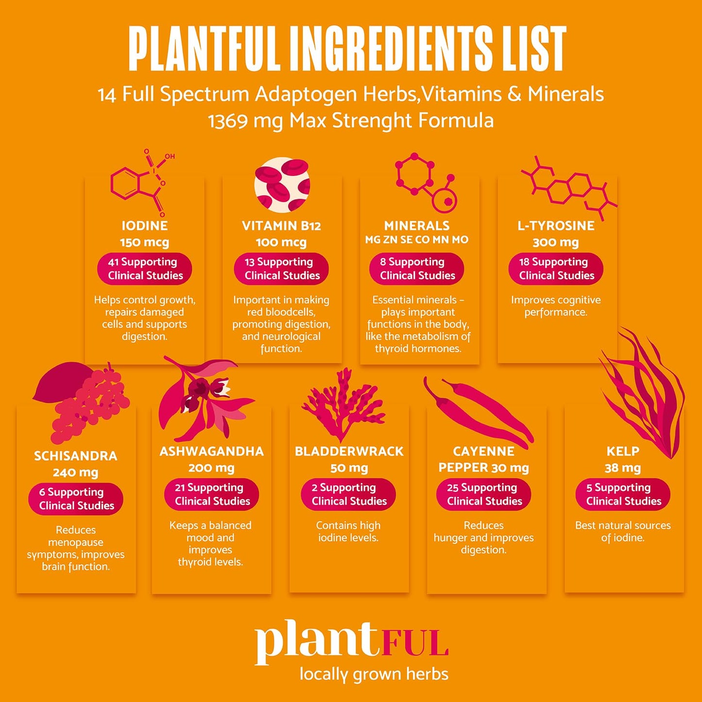 PLANTFUL RESEARCH Thyroid Support for Women and Iodine Supplement Capsule 60 Count