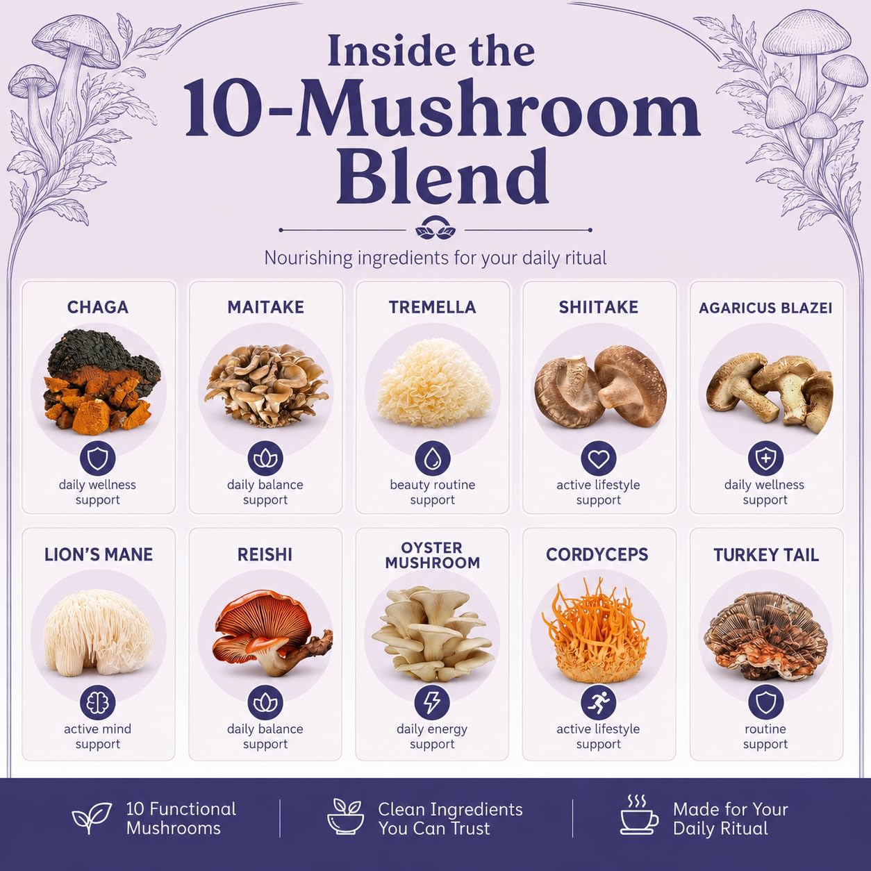 Suiyilary 10 Mushroom Hot Cocoa for Sleep Powder 5.3 oz