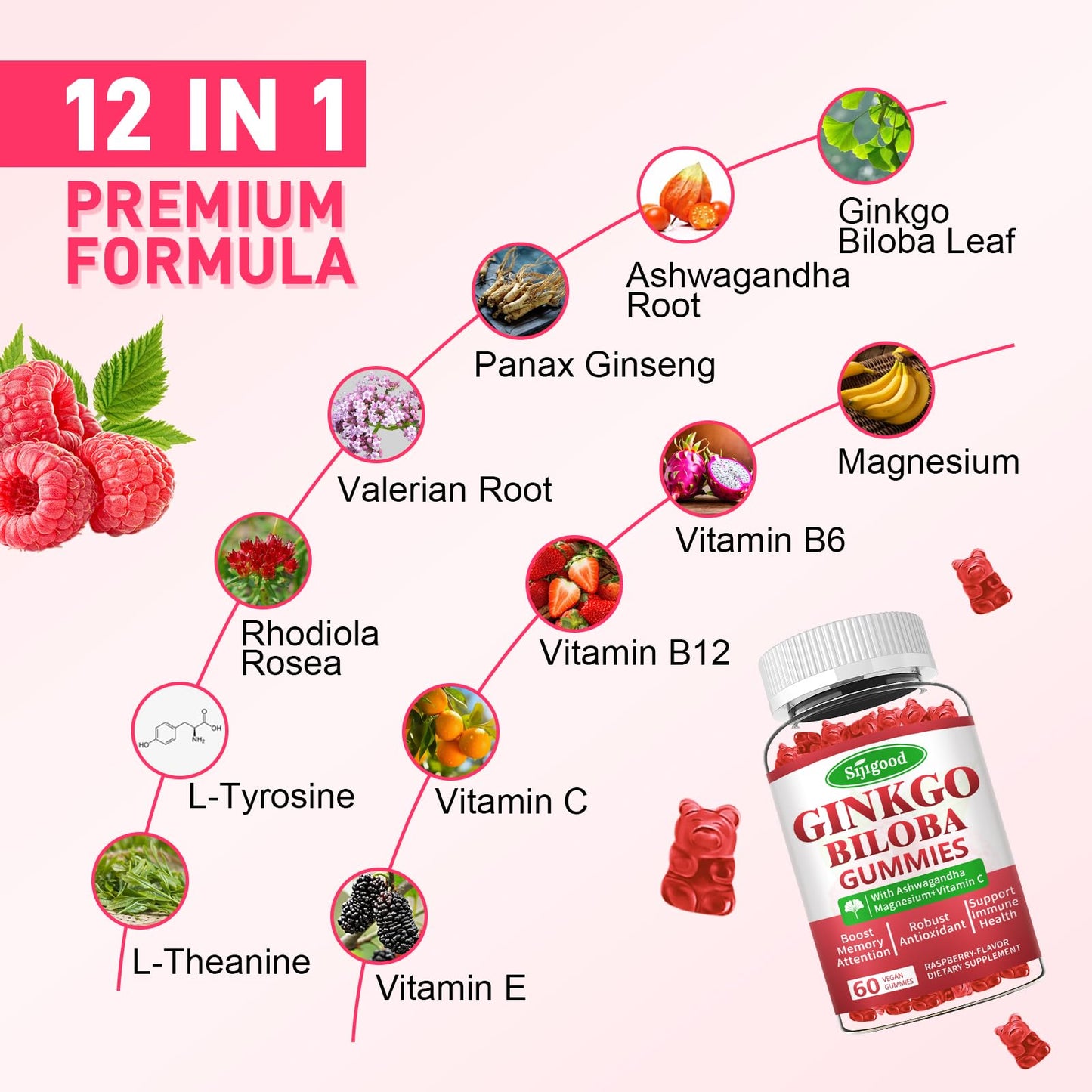 Sijigood Ginkgo Biloba Gummies with Panax Ginseng and Magnesium, Gummy, 60 Count