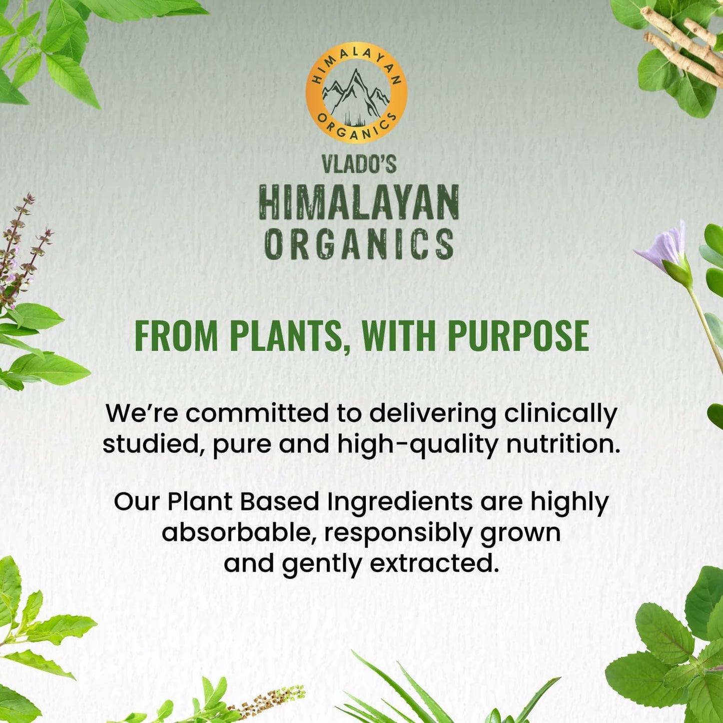 Himalayan Organics Plant Based Iron Supplement with Folate, 90 Capsules