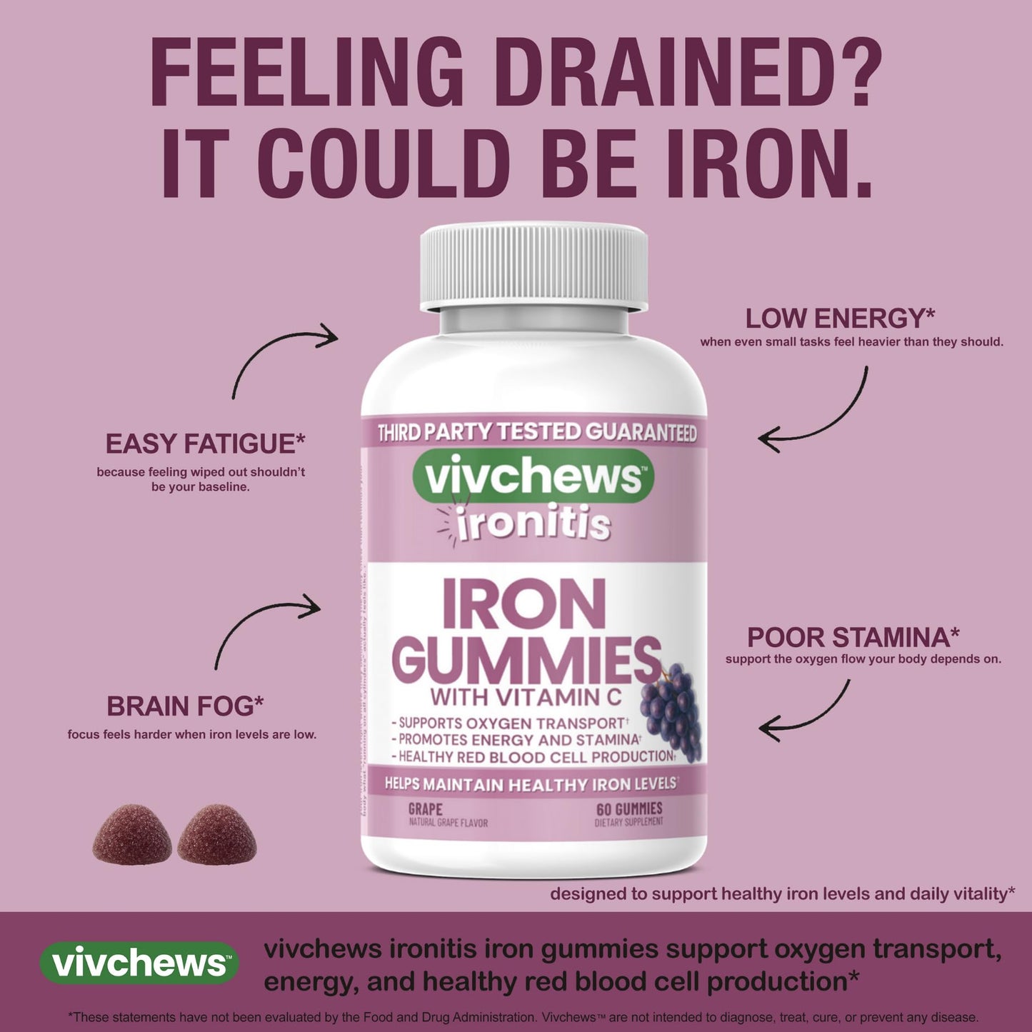 Vivchews Iron Gummies with Vitamin C 20 mg Iron (Ferrous Fumarate), 60 Count