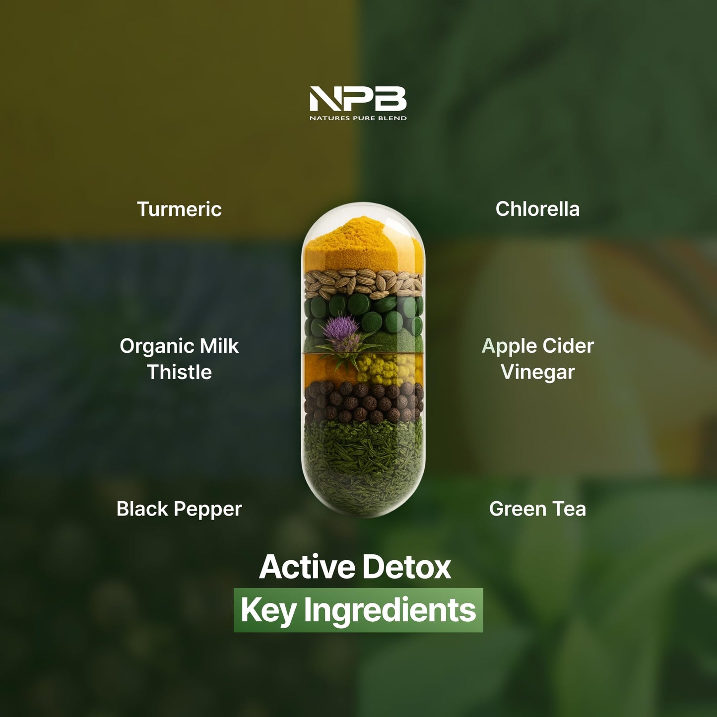 Nature's Pure Blend Active Detox Cleanse – Organic Turmeric Supplement with Apple Cider Vinegar for Digestive Support – Body Detox for Men to Promote Balance & Vitality – Green Tea & Milk Thistle Capsule 60 Count