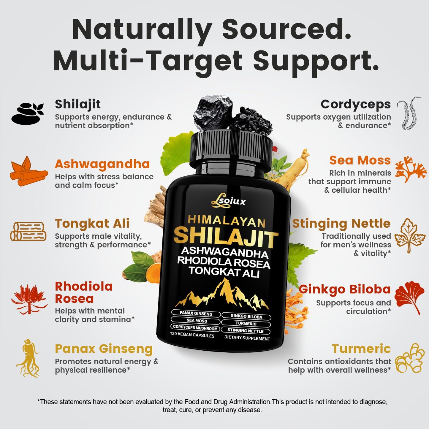 LSOIUX Shilajit Capsules 10-in-1 Himalayan Shilajit with Organic Ashwagandha, Rhodiola Rosea & Tongkat Ali, 120 Capsules