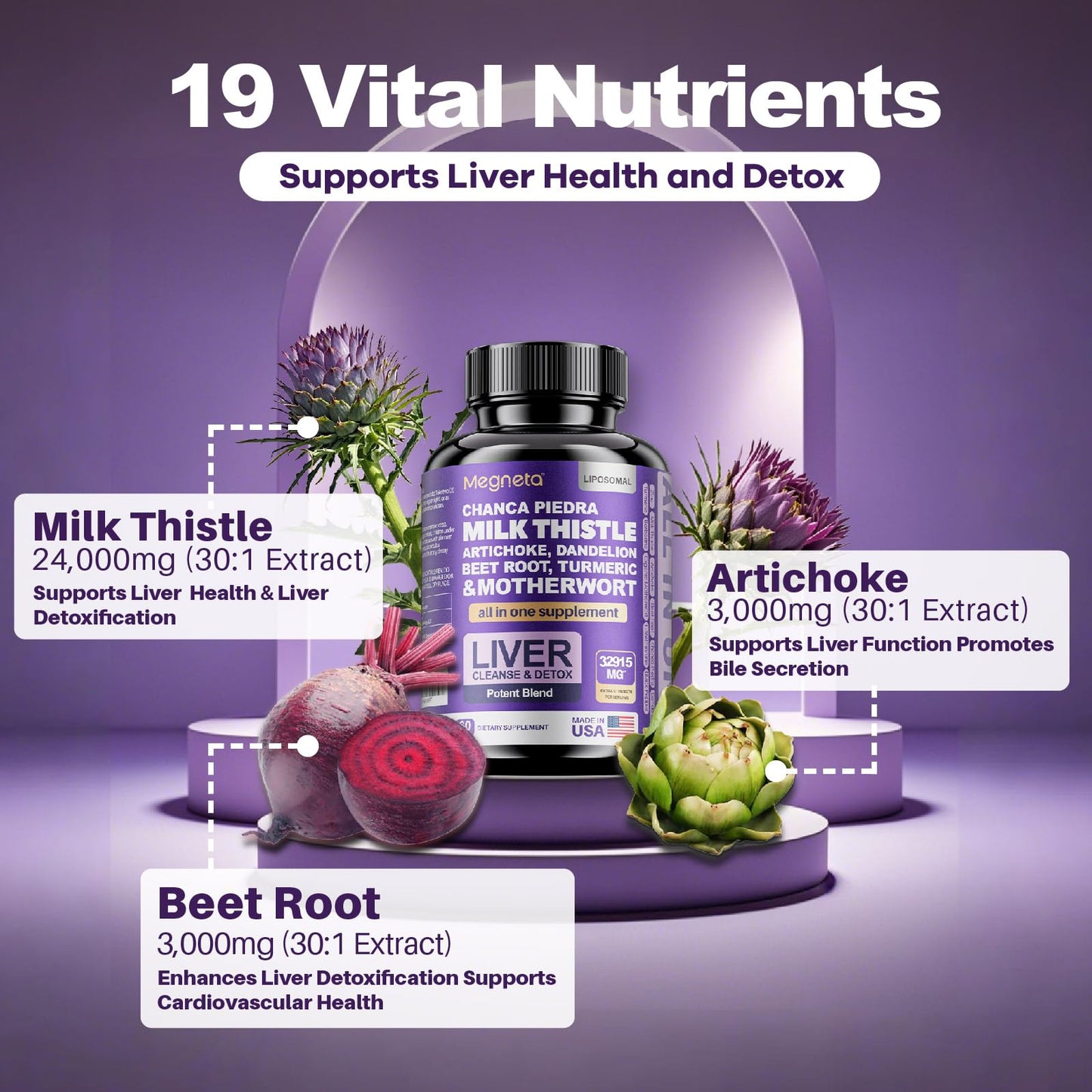 MEGNETA Milk Thistle Capsule, 60 Capsules