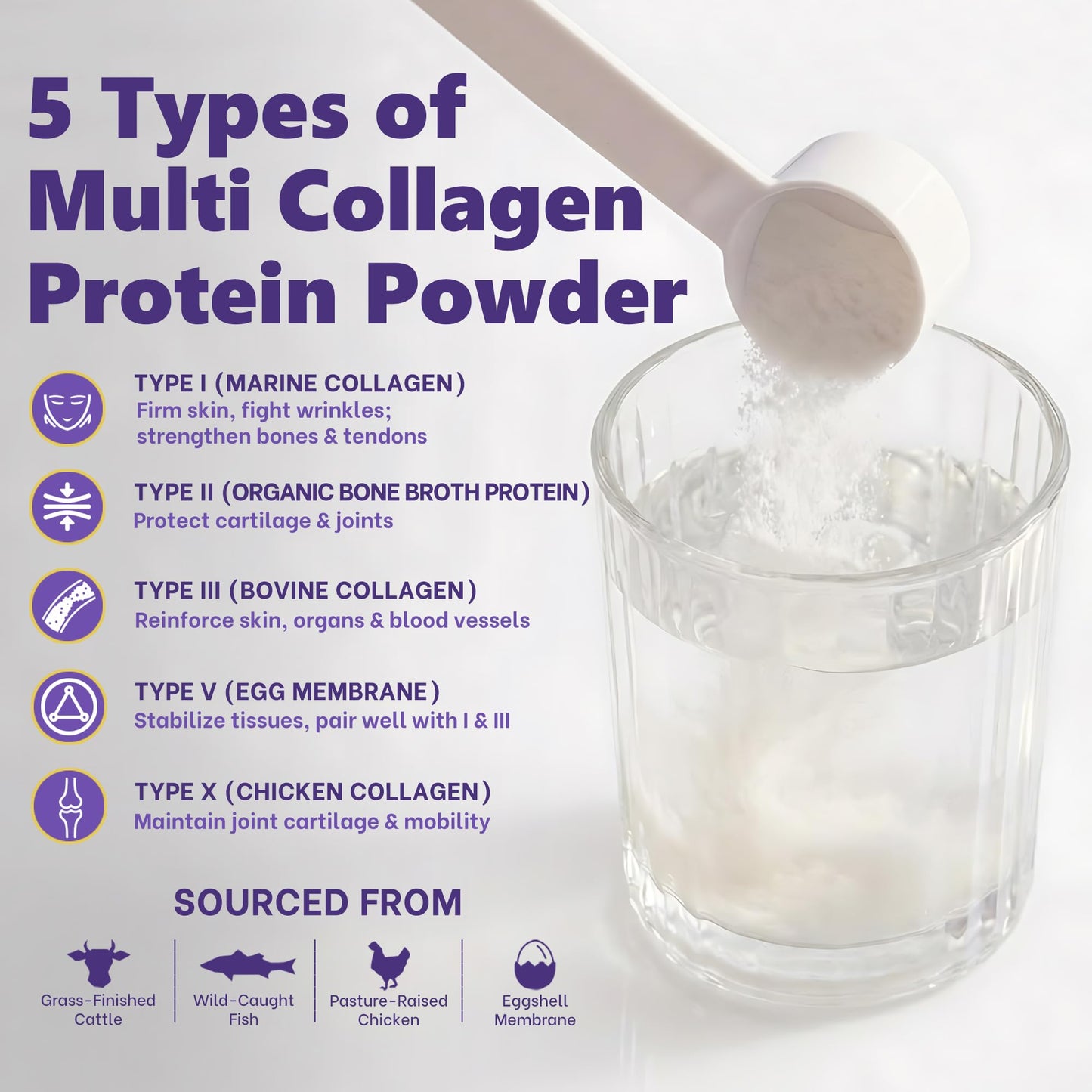 Zammex Multi Collagen Protein Powder 21