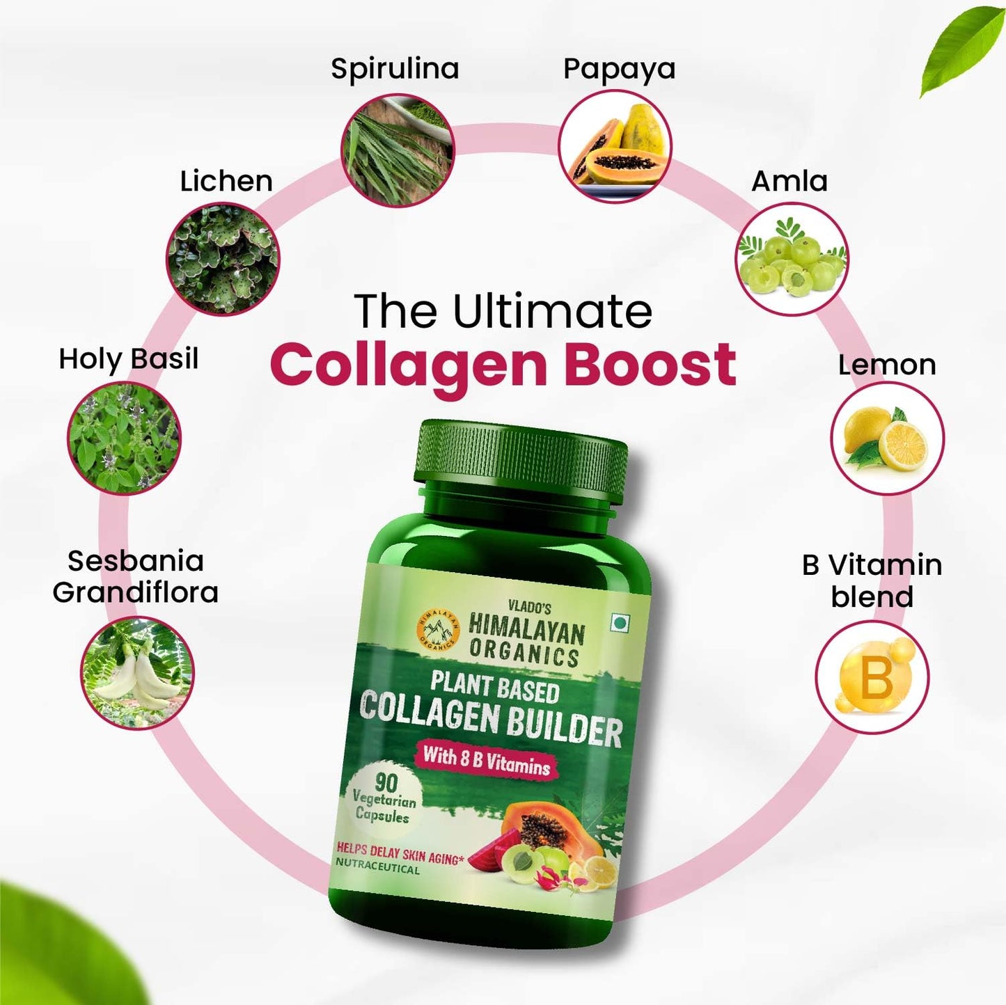 Himalayan Organics Organic Collagen Builder for Hair and Skin with Biotin and Vitamin C 90 Veg Capsules