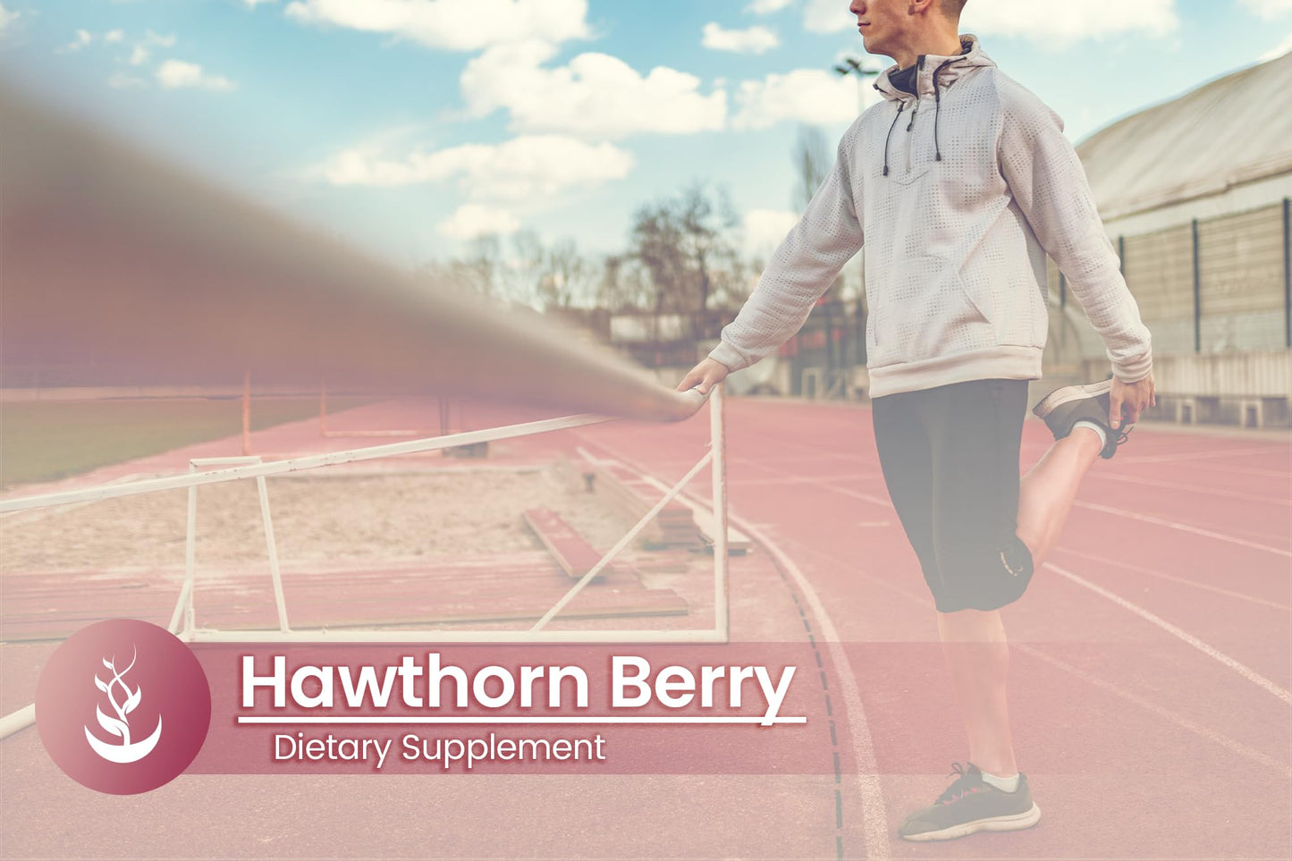 PURE ORIGINAL INGREDIENTS Hawthorn Berry Capsules, 100 Count