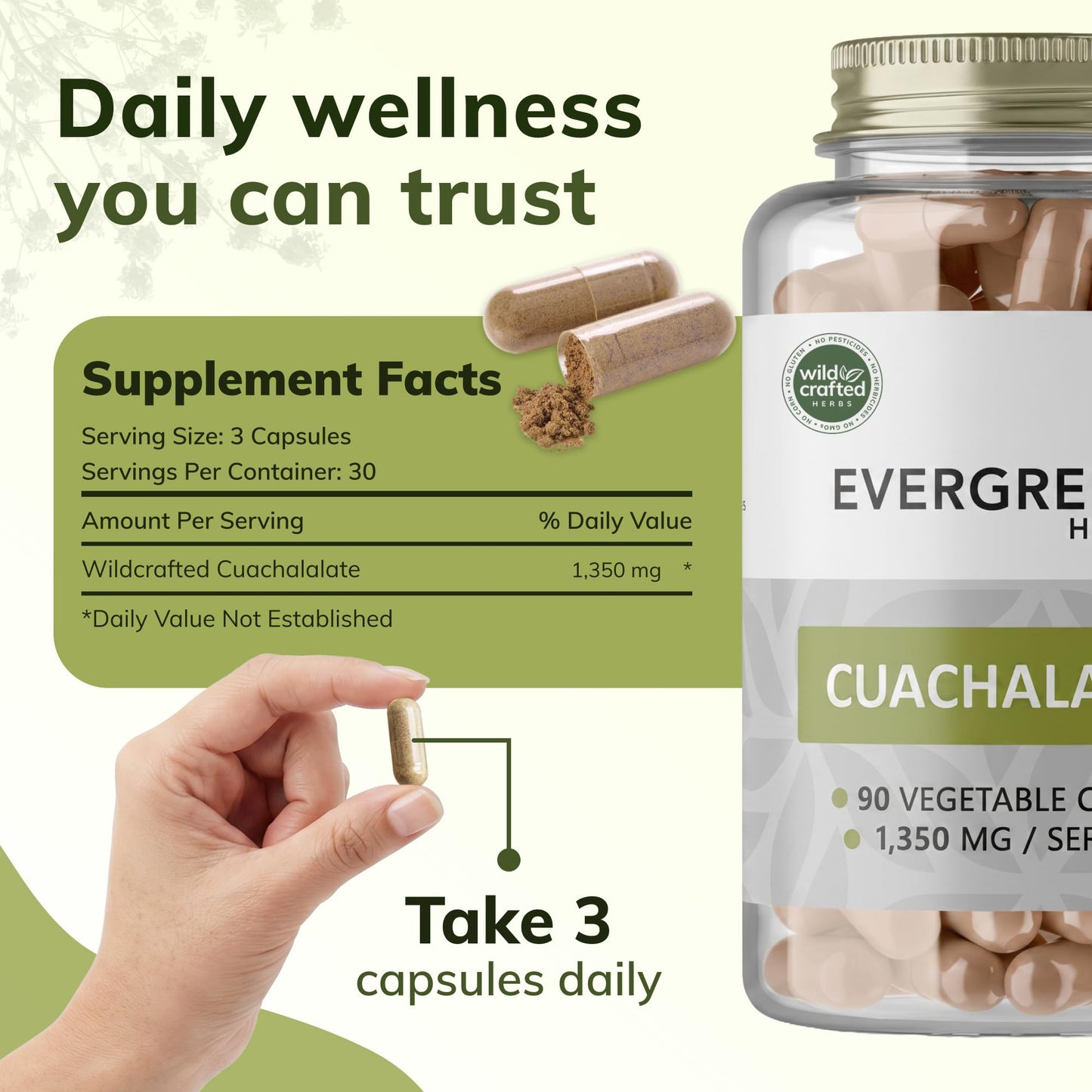 Evergreen Herbs Cuachalalate Capsules 90 Count
