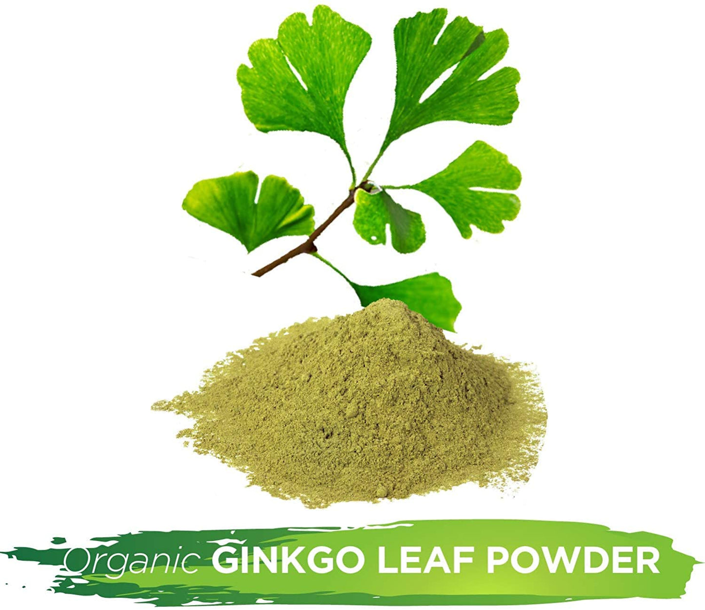 Generic Ginkgo Biloba Leaf Powder 16 Ounces