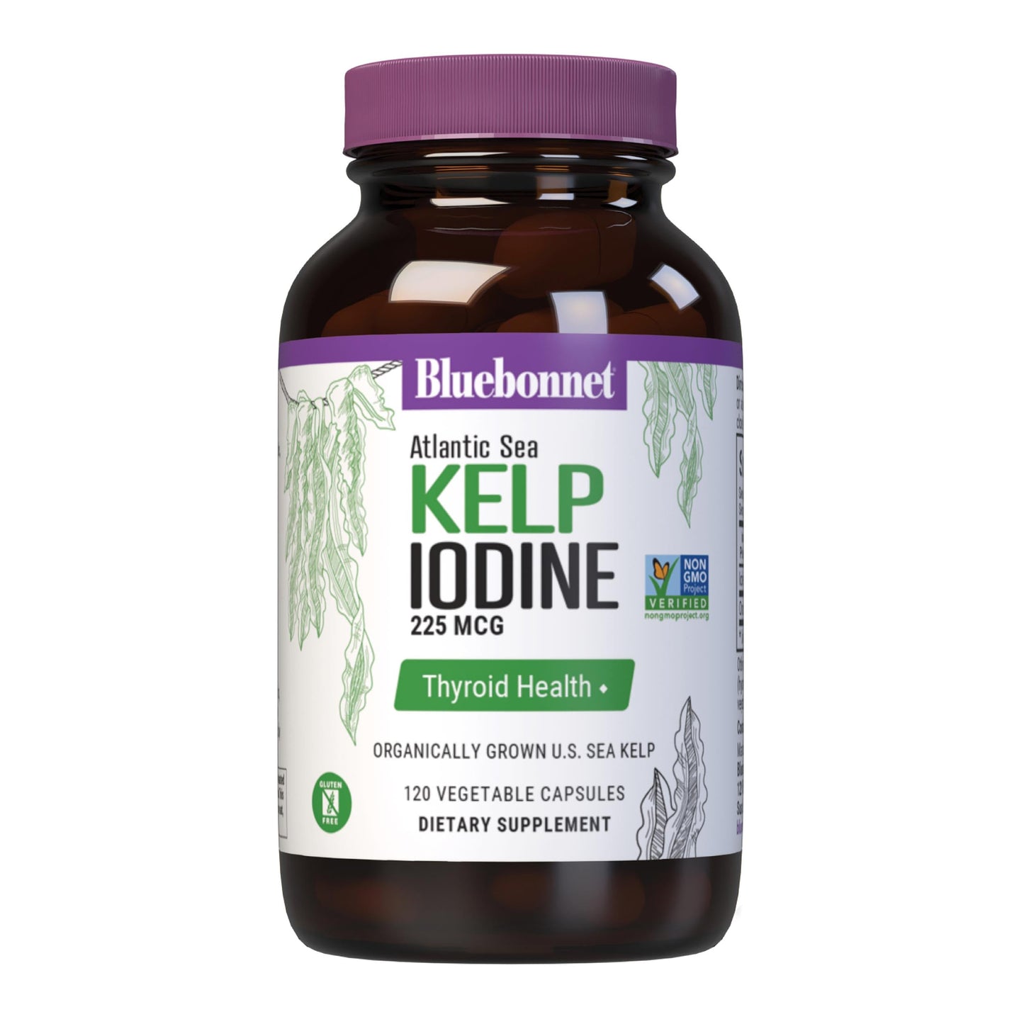 BlueBonnet Atlantic Sea Kelp Iodine 225 mcg Capsule 120
