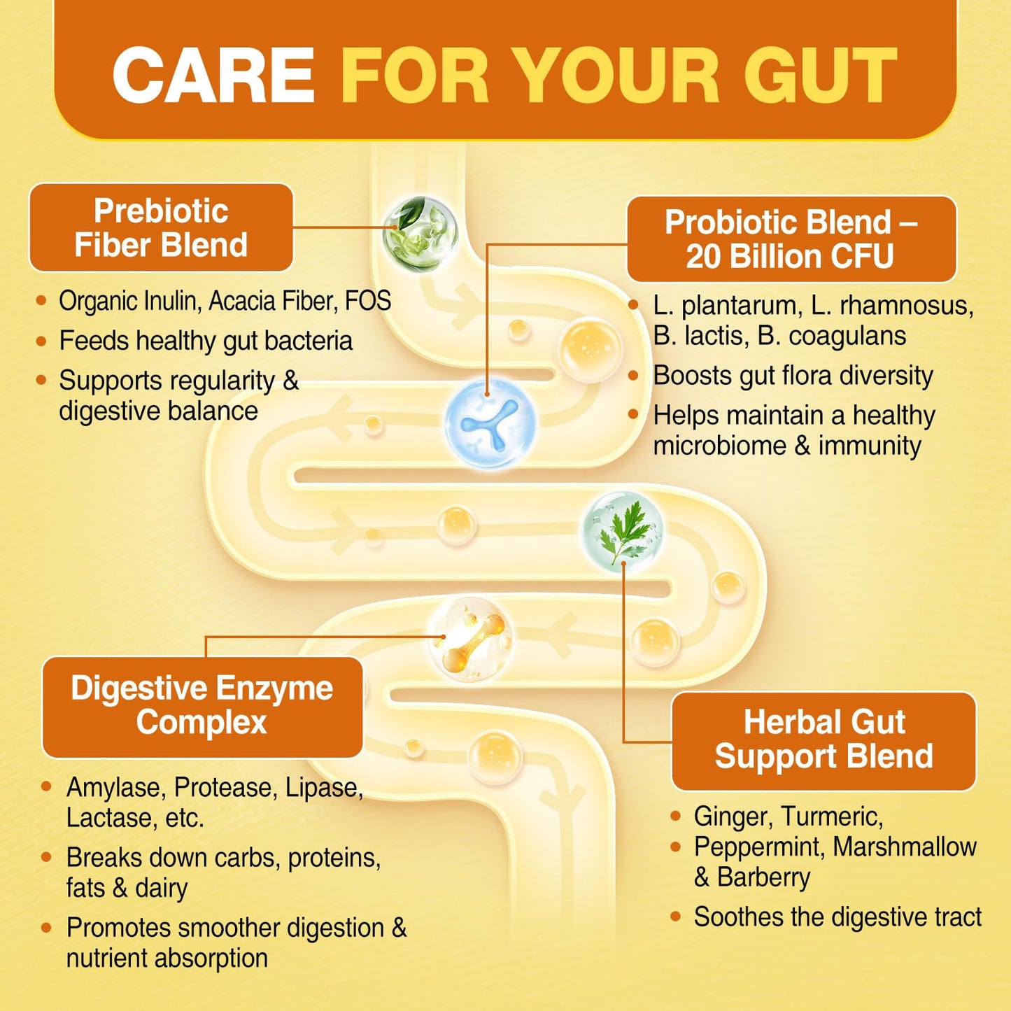 Yutiny Prebiotics Probiotics & Digestive Enzymes Gummies, 60 Count