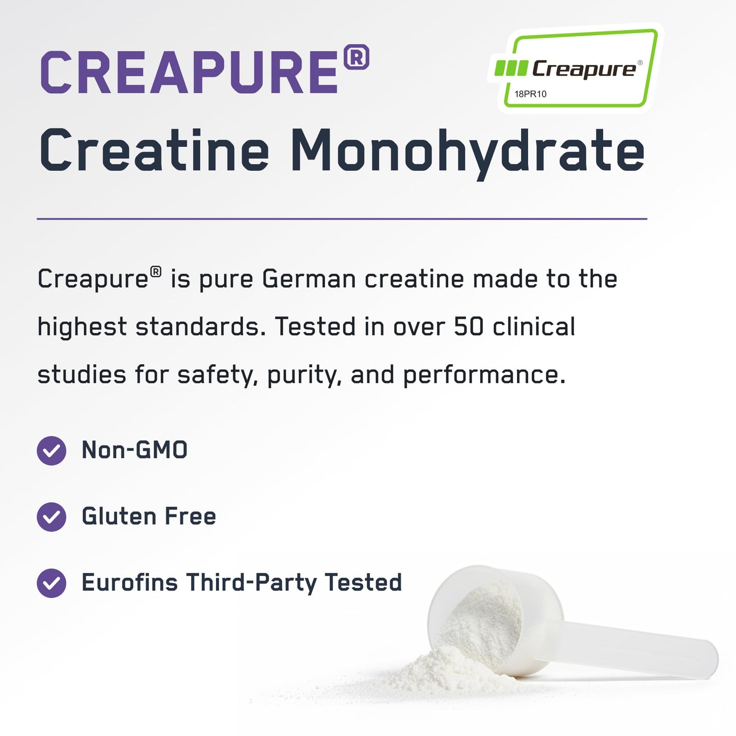 SteelFit Creapure Pure Creatine Monohydrate Powder, Grape, 6.1 Ounce