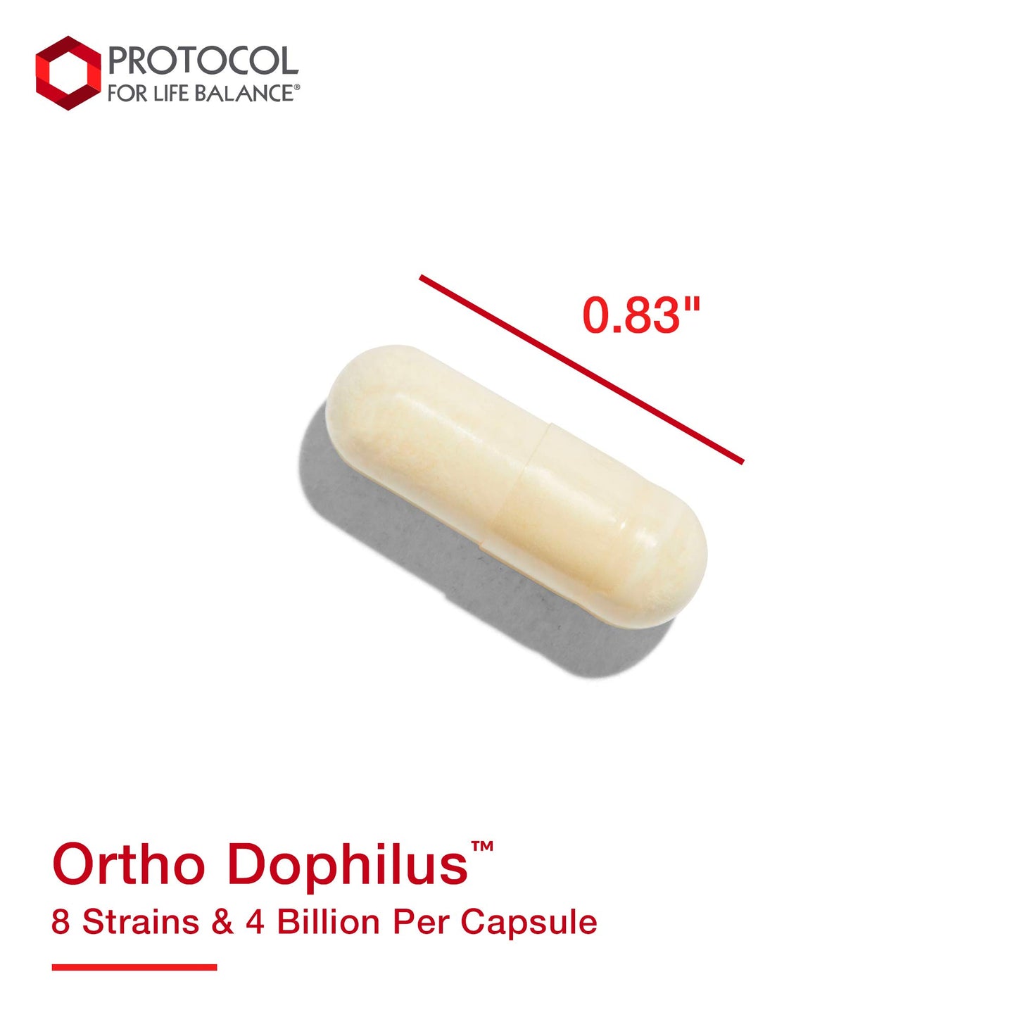 PROTOCOL FOR LIFE BALANCE Ortho Dophilus 8 Strains 4 Billion Capsules 60