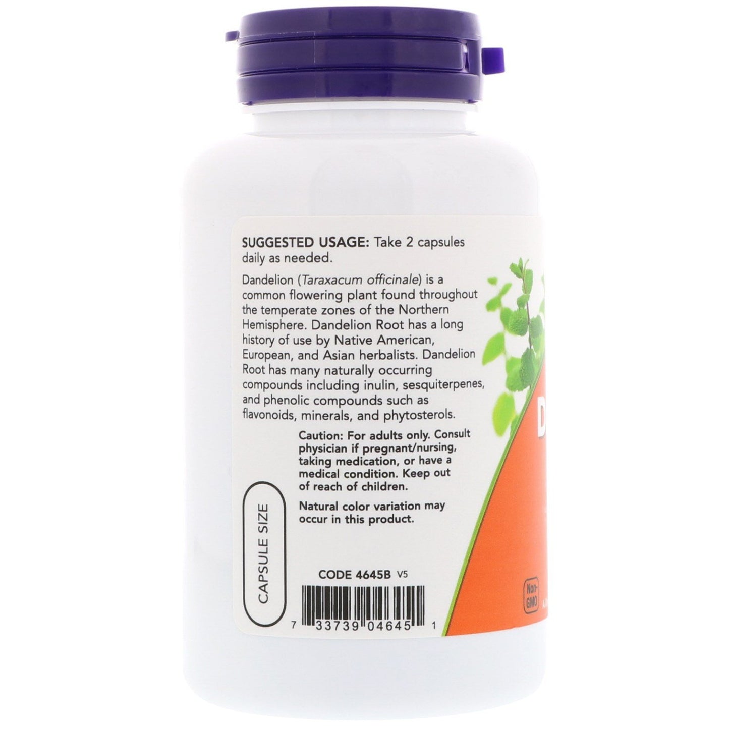 NOW Foods Dandelion Root 500 mg Capsules, 100 Count