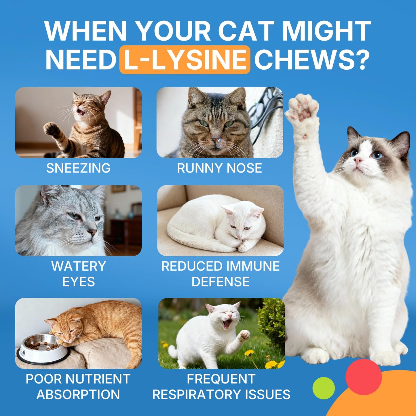 WEALLIN Cat & Dog Wellness Bundle L-Lysine Chews for Cats, 500 Ct; 25-in-1 Dog Multivitamin Chews, 200 Ct