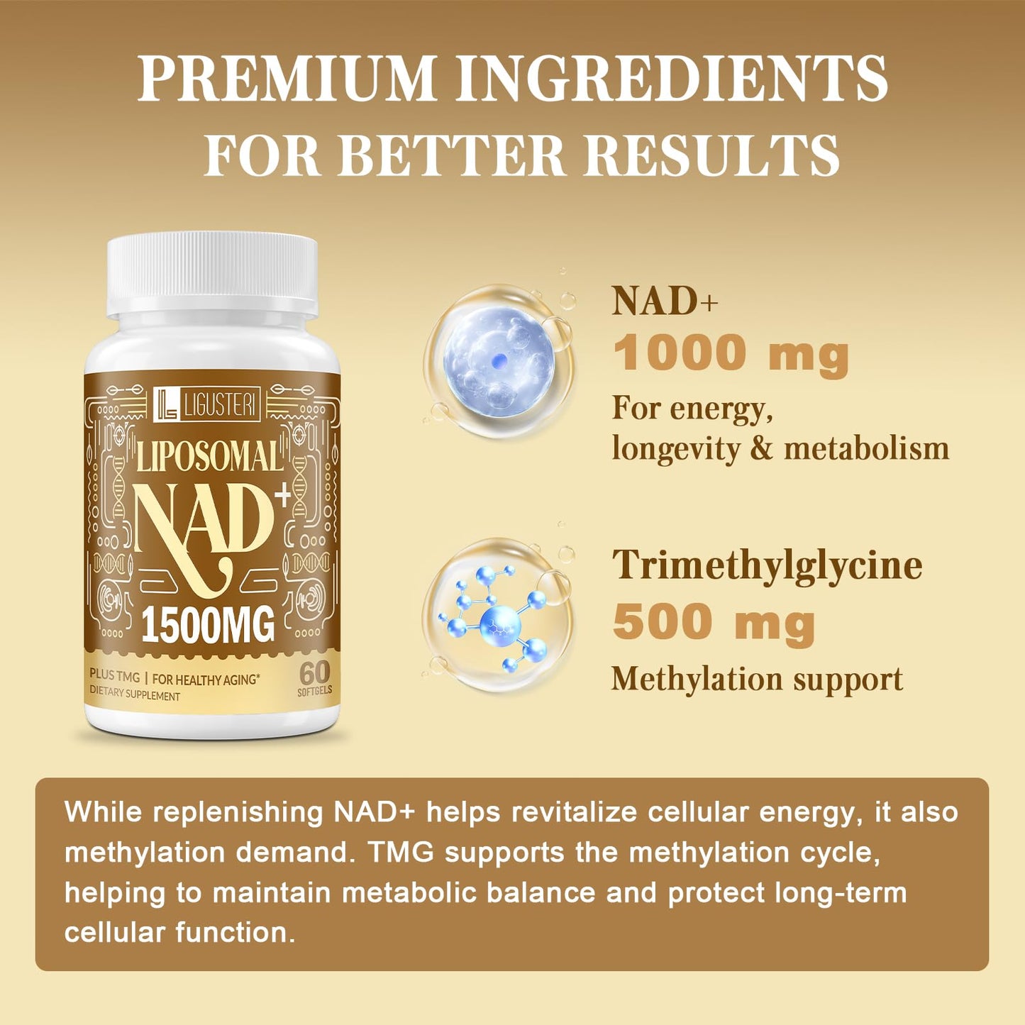 LIGUSTERI Liposomal NAD+ 1500 mg Softgels, 120 Count