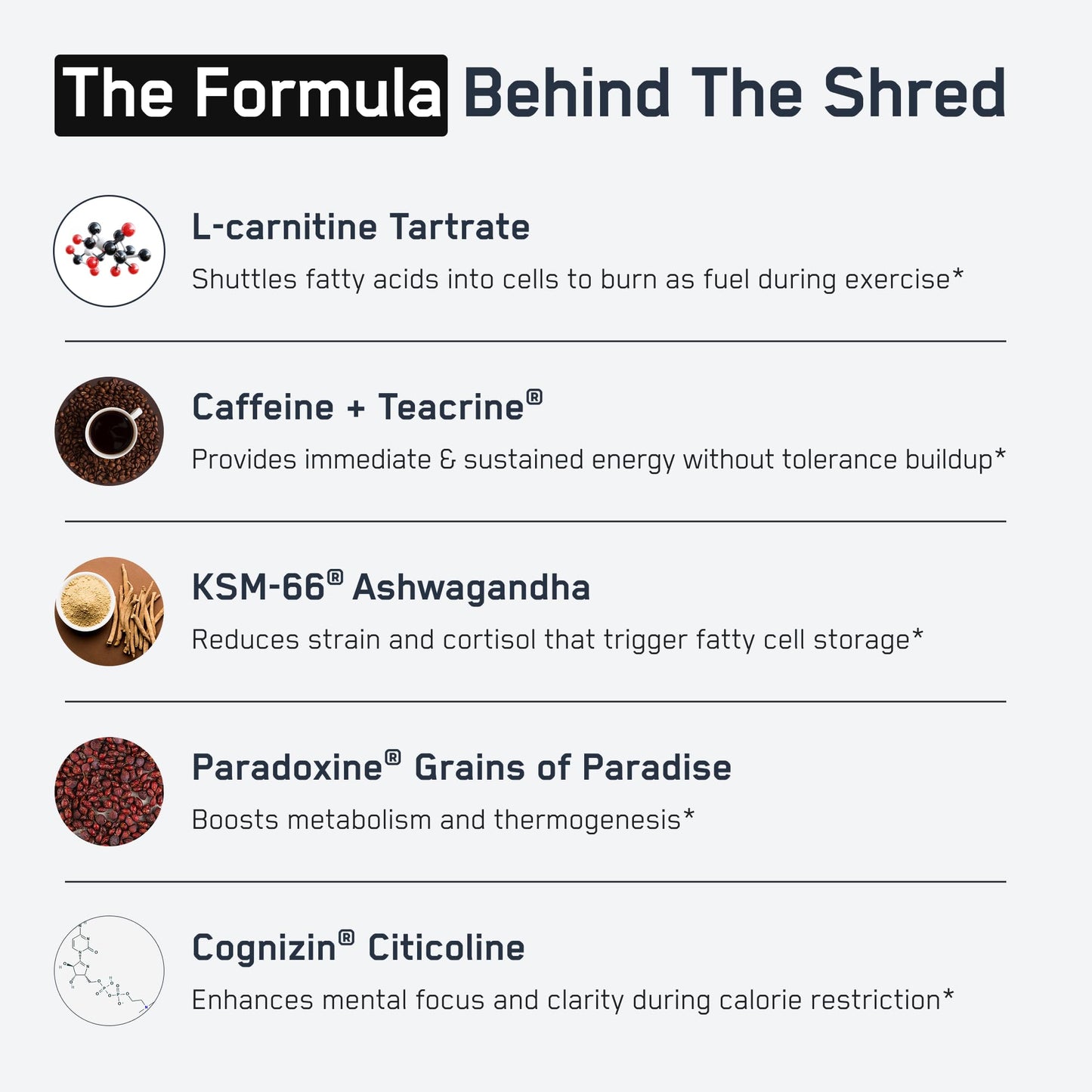SteelFit Shredded Steel 90 Capsules