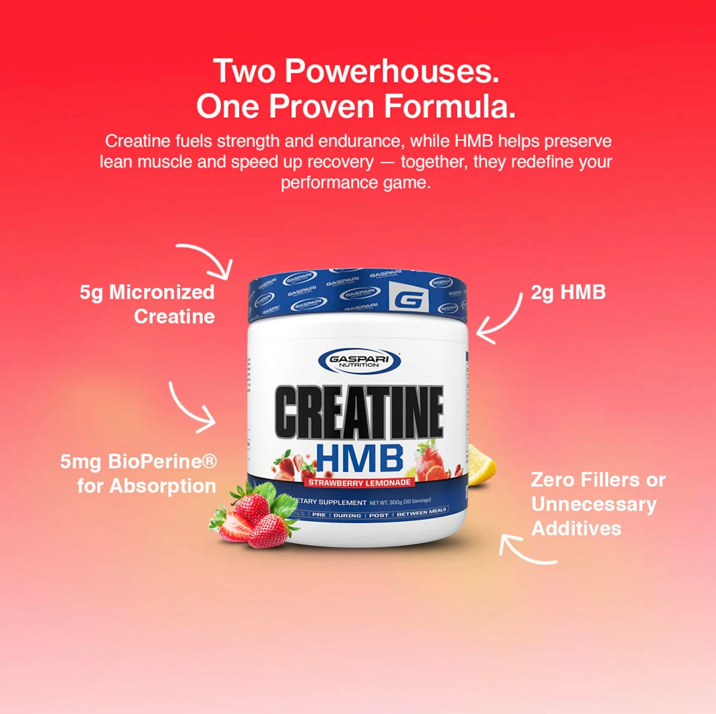 Gaspari Nutrition Creatine HMB Micronized Creatine Monohydrate and HMB Powder 7.94 Ounce
