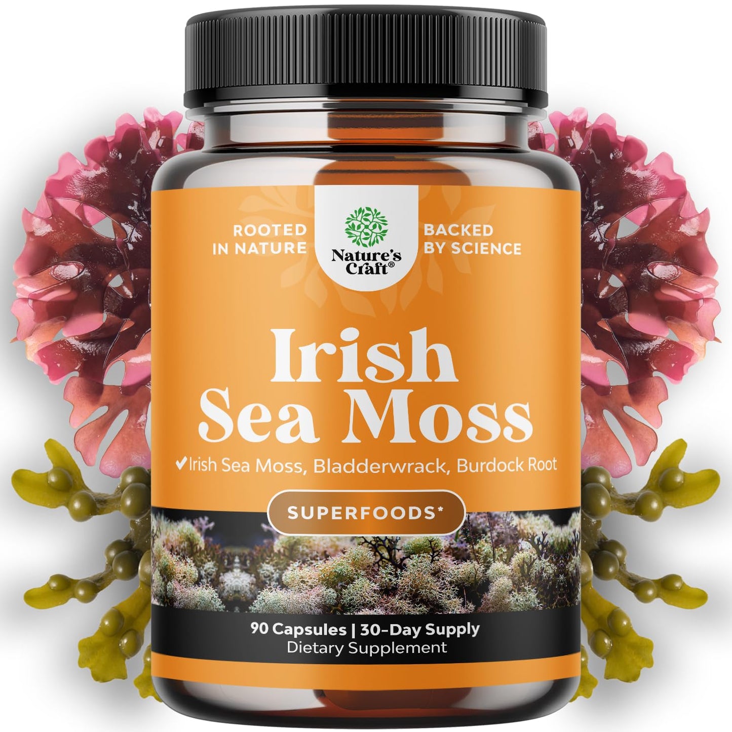 Natures Craft Irish Sea Moss Capsules with Bladderwrack & Burdock, 90 Count