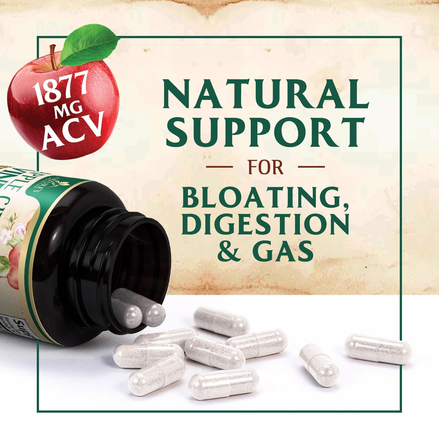 Nature's Nutrition Apple Cider Vinegar Capsules, 120 Count